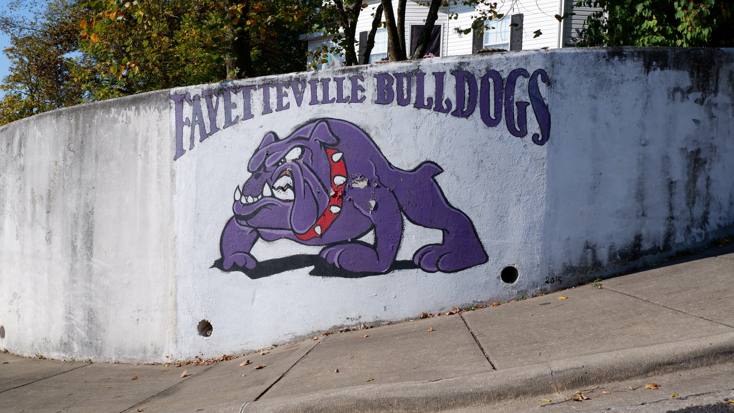 image of Fayetteville Bulldogs