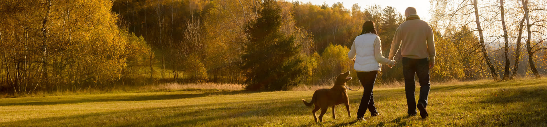 man-and-woman-walking-in-park-banner-i-screen