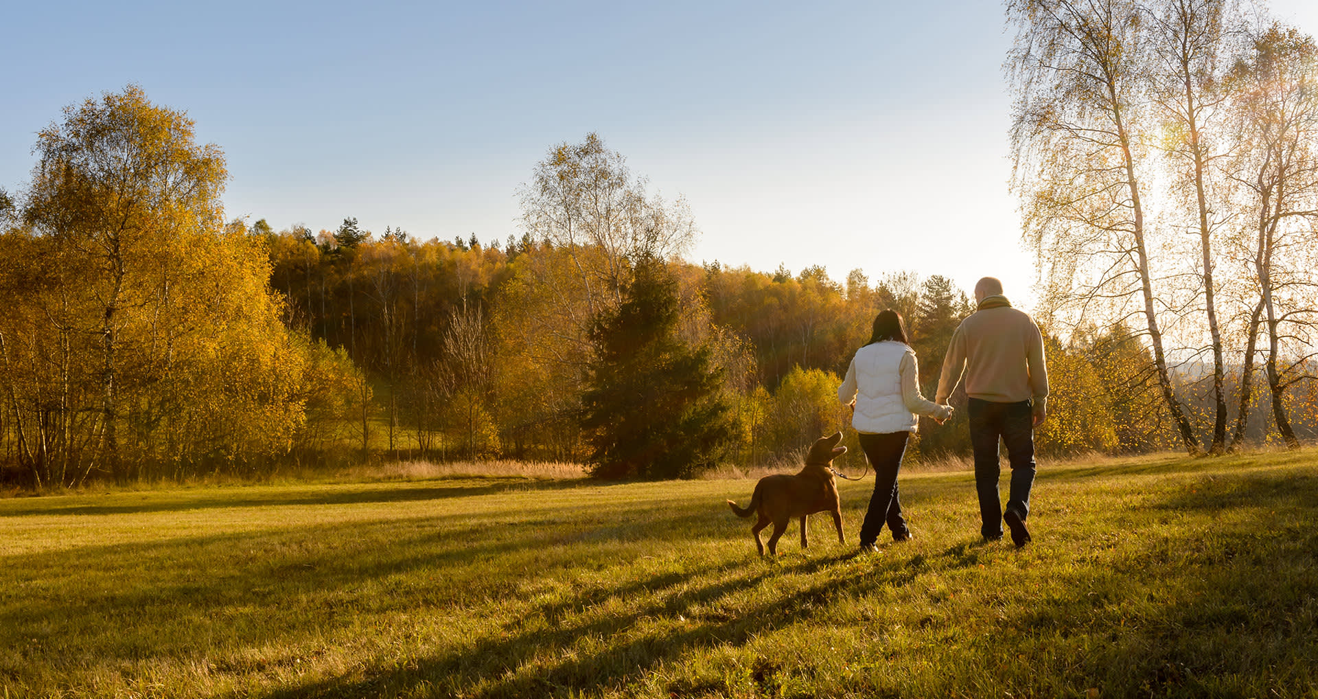 couple-walking-dog-in-a-park-i-screen