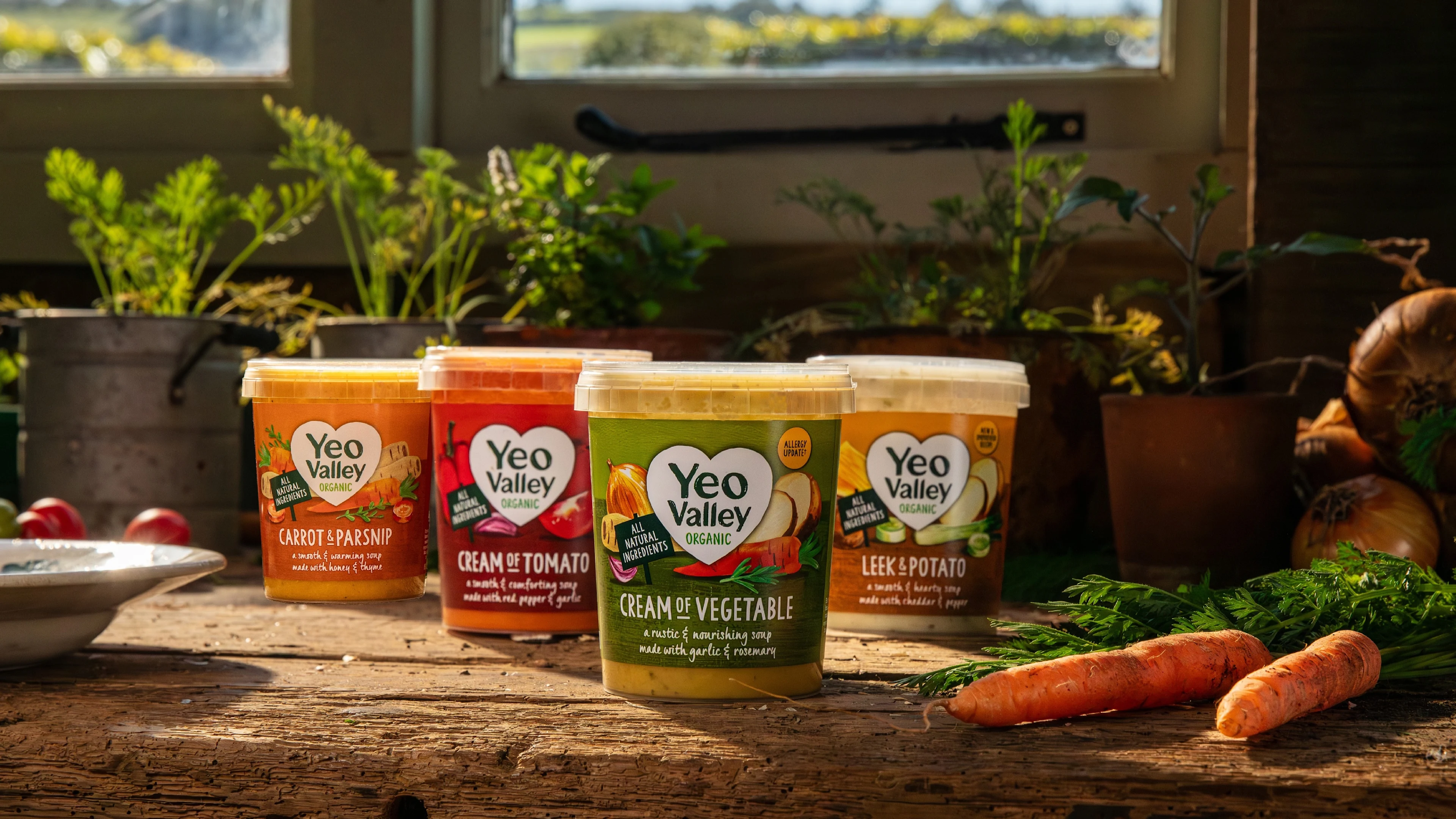 Product Category - Soup
