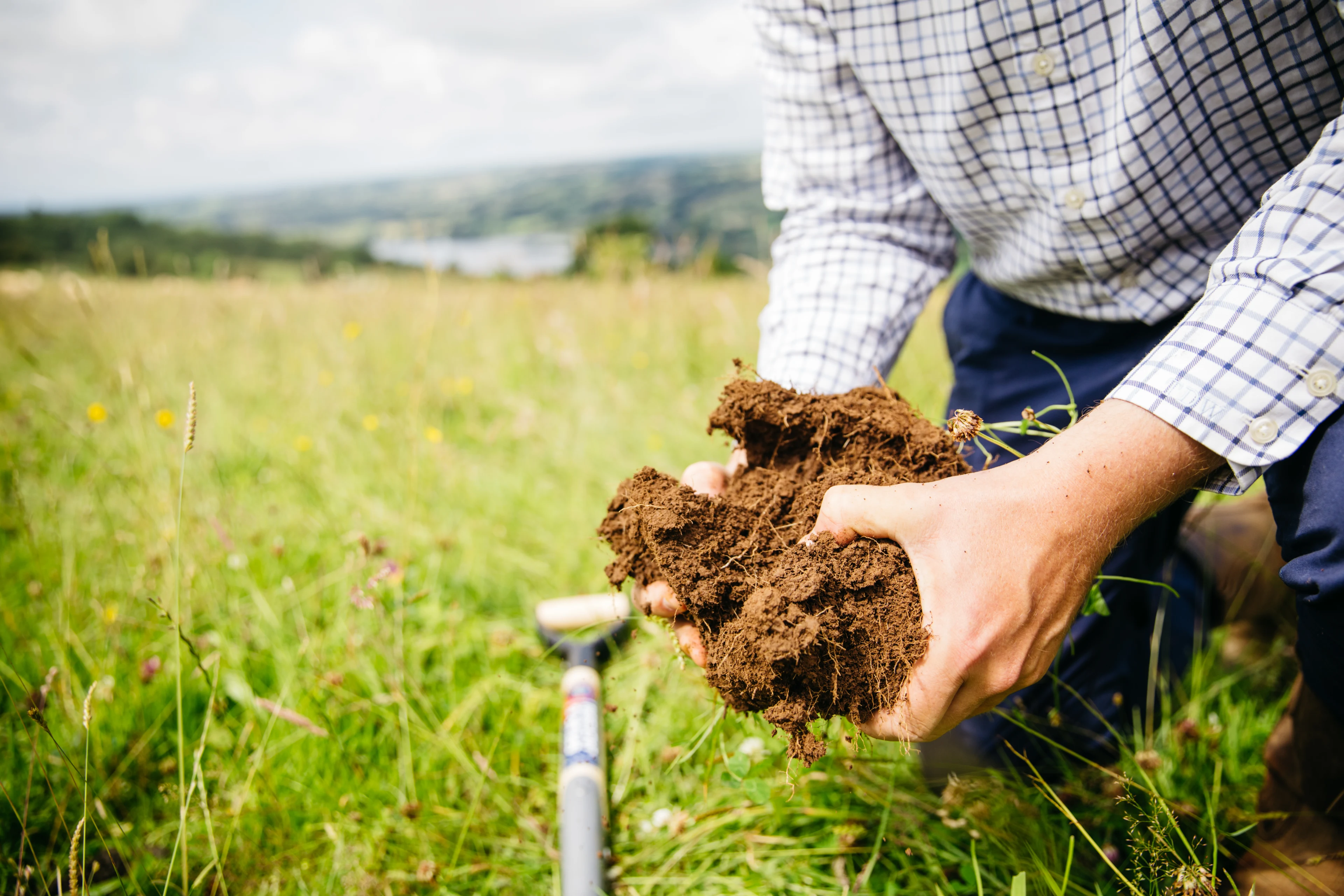 Blog-Nature-Soil, It's a Wonderful thing 