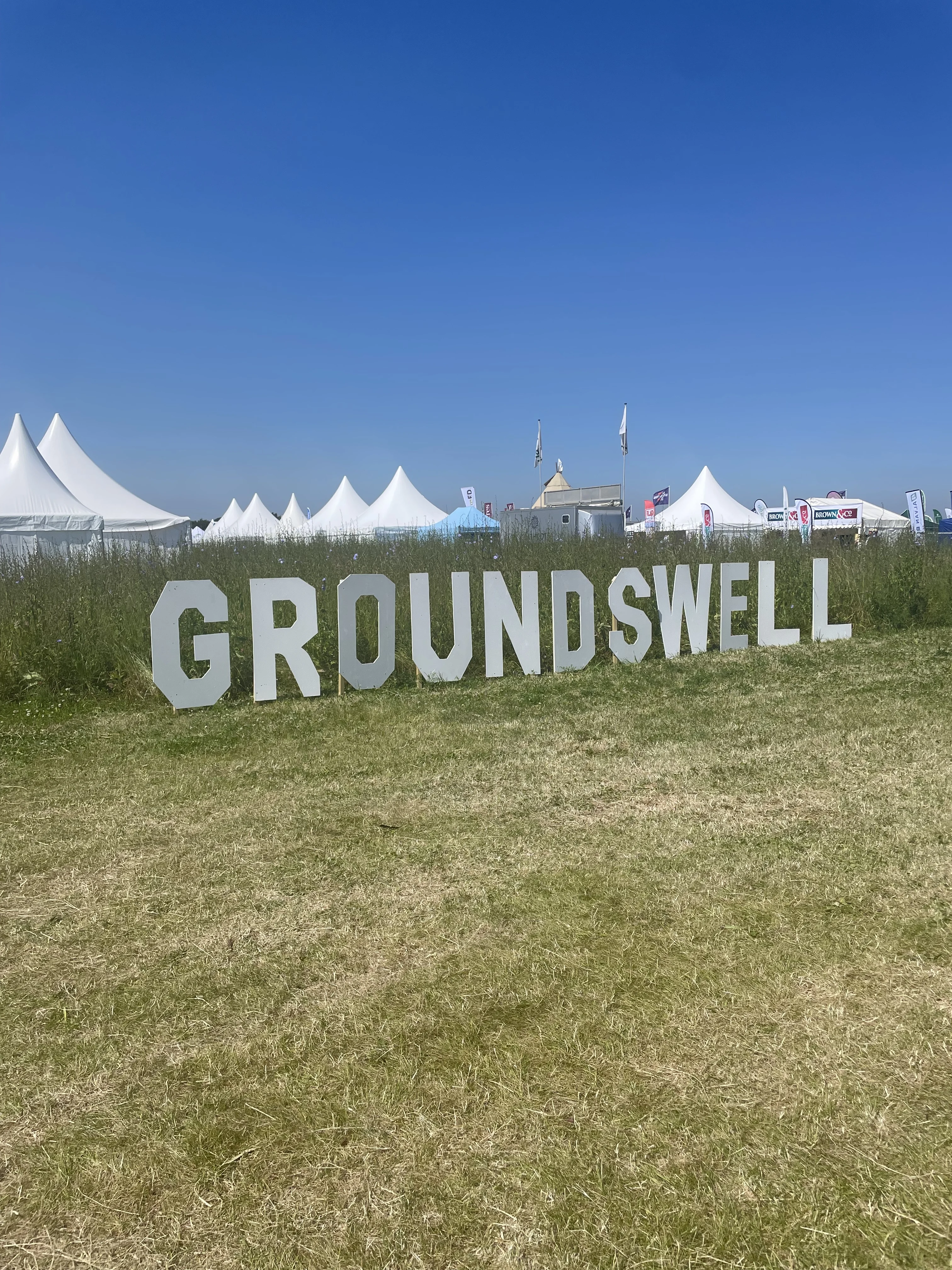 Blog - News - We Returned To Groundswell!