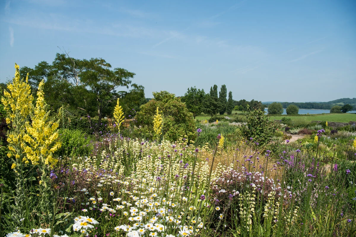 Blog - SUMMER TIME IN THE YEO VALLEY ORGANIC GARDEN - in the valley - summer gardens