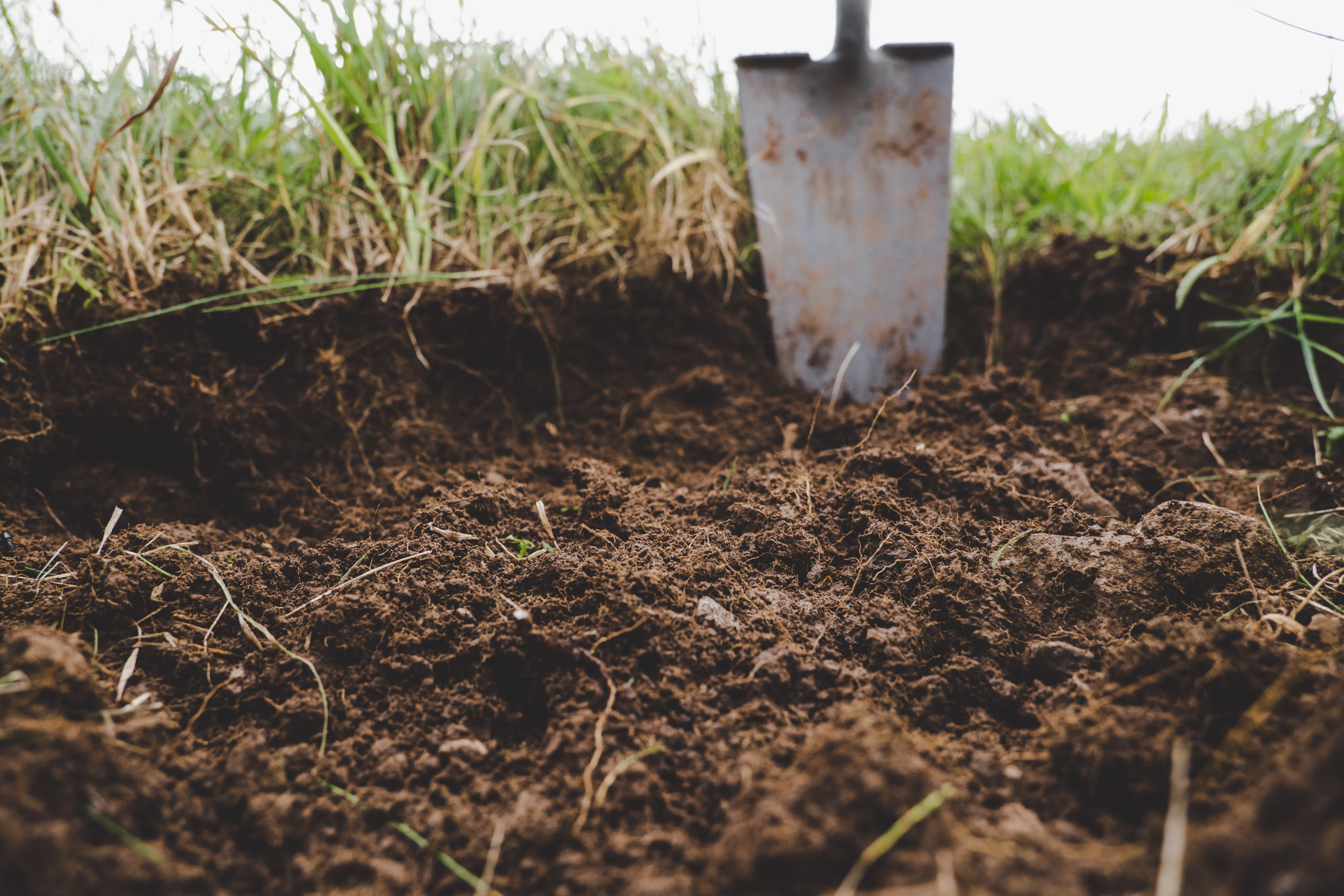 Blog - Tips And Tricks - Soil One Of Our Most Important Weapons In The Fight Against Climate Change 