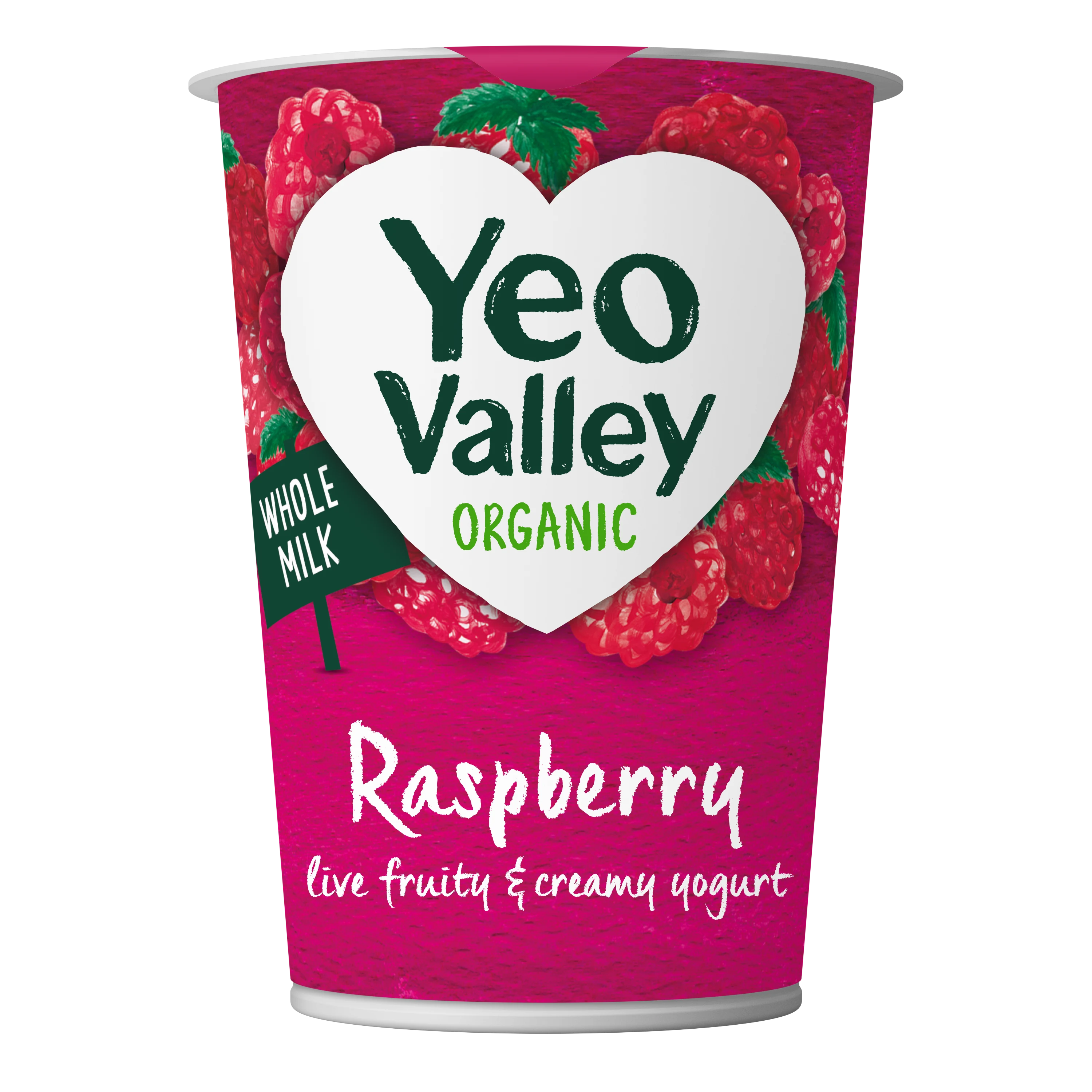 Raspberry Yogurt in 450g size