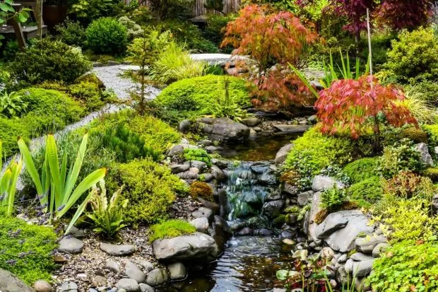 blog_image_Gardeners World - Garden of the Year winner revealed_Irene