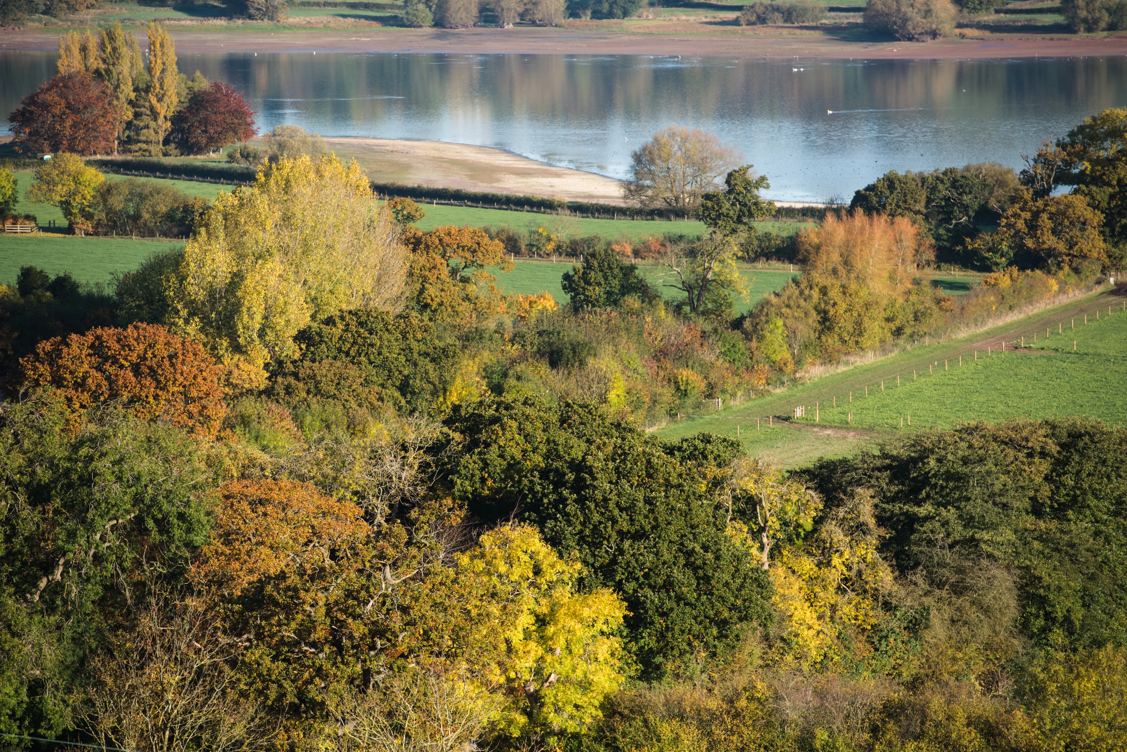 blog-photo-Meet Assistant Farm Manager Rich-autumn view