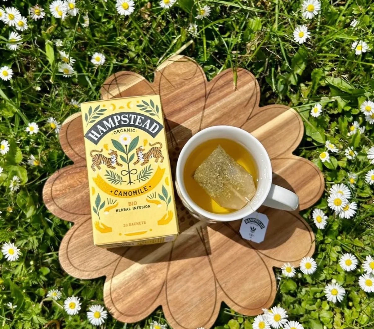 hampstead tea 1
