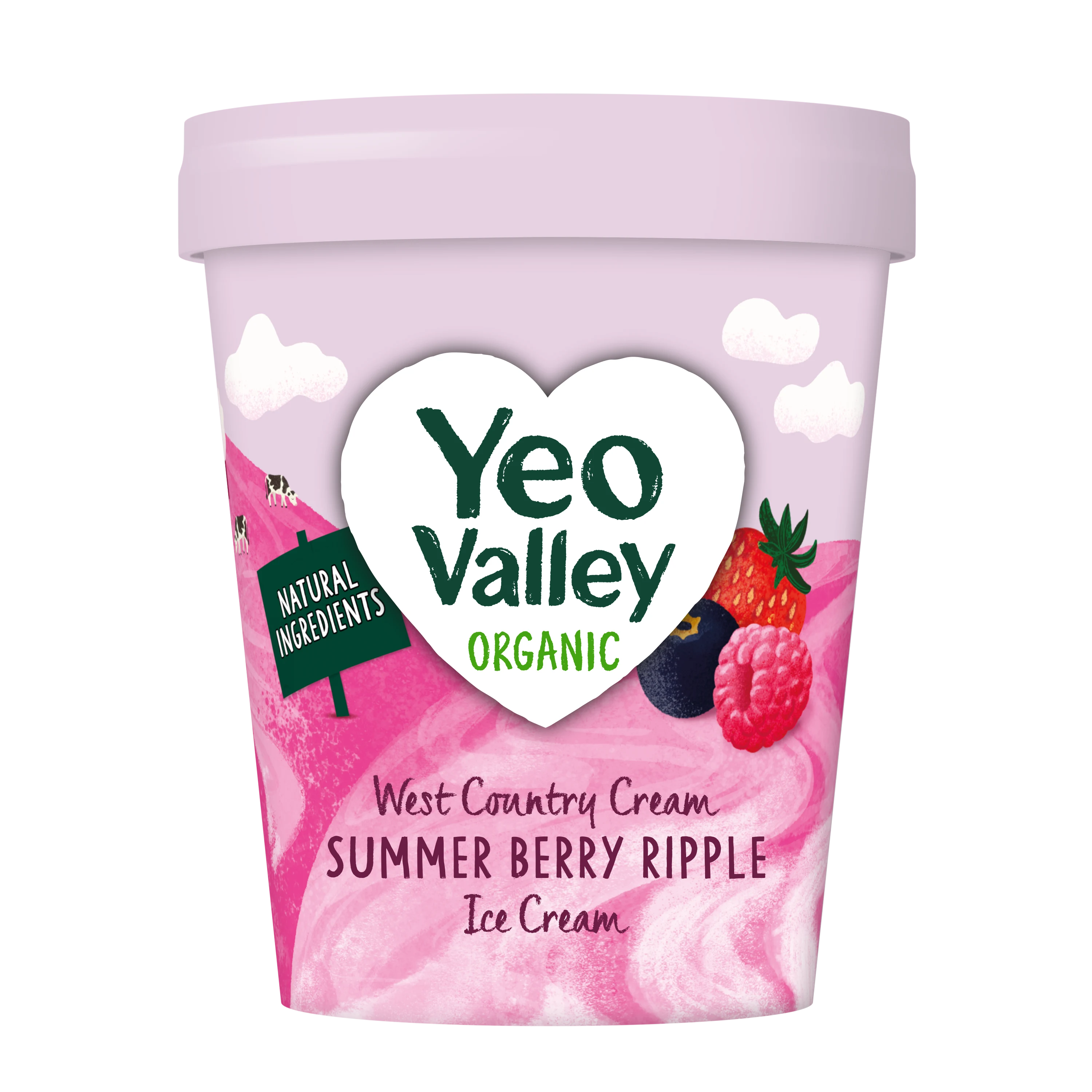 Summer Berry Ripple Ice Cream in 480ml size
