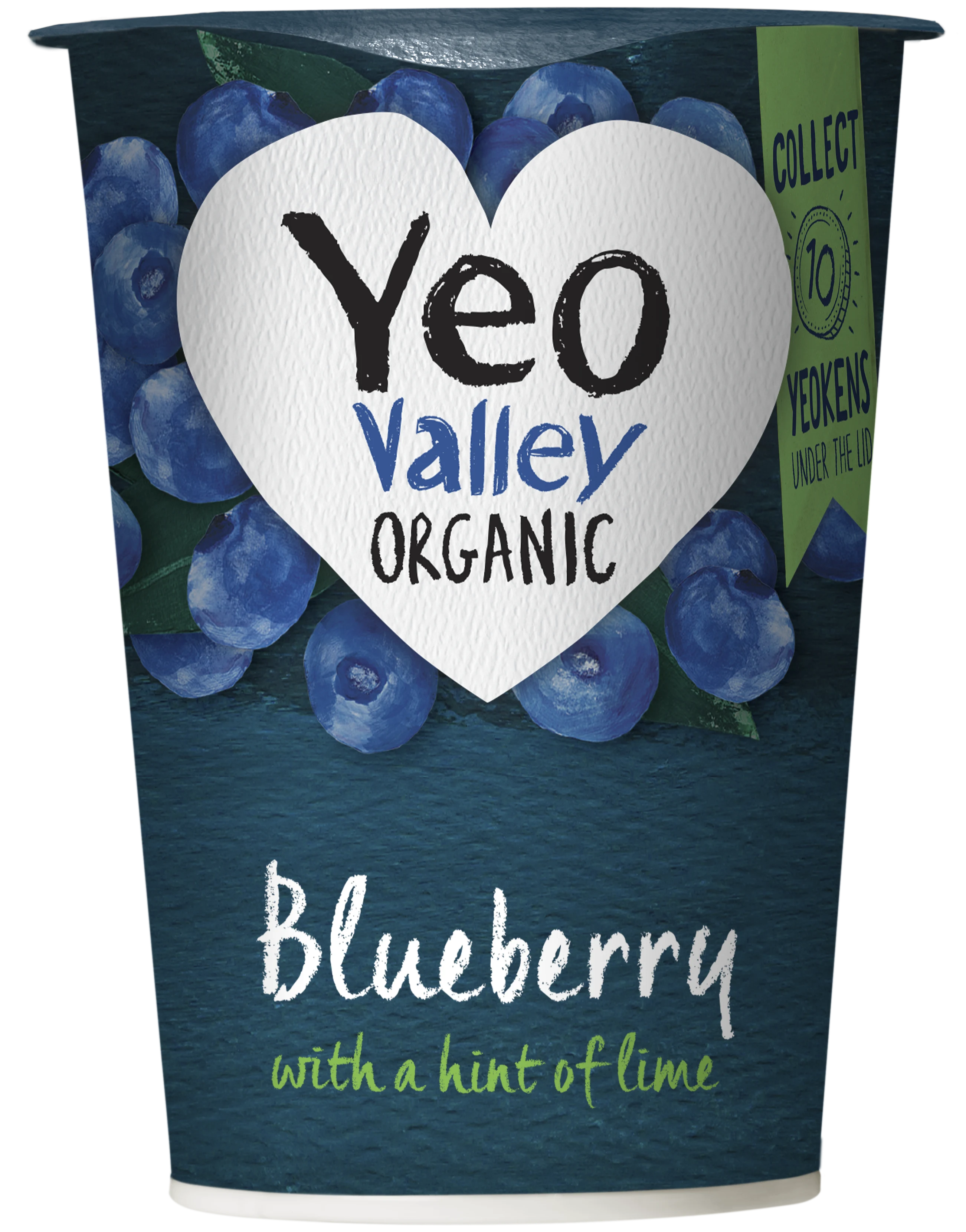 Blueberry with a hint of Lime Yogurt  in 450g size