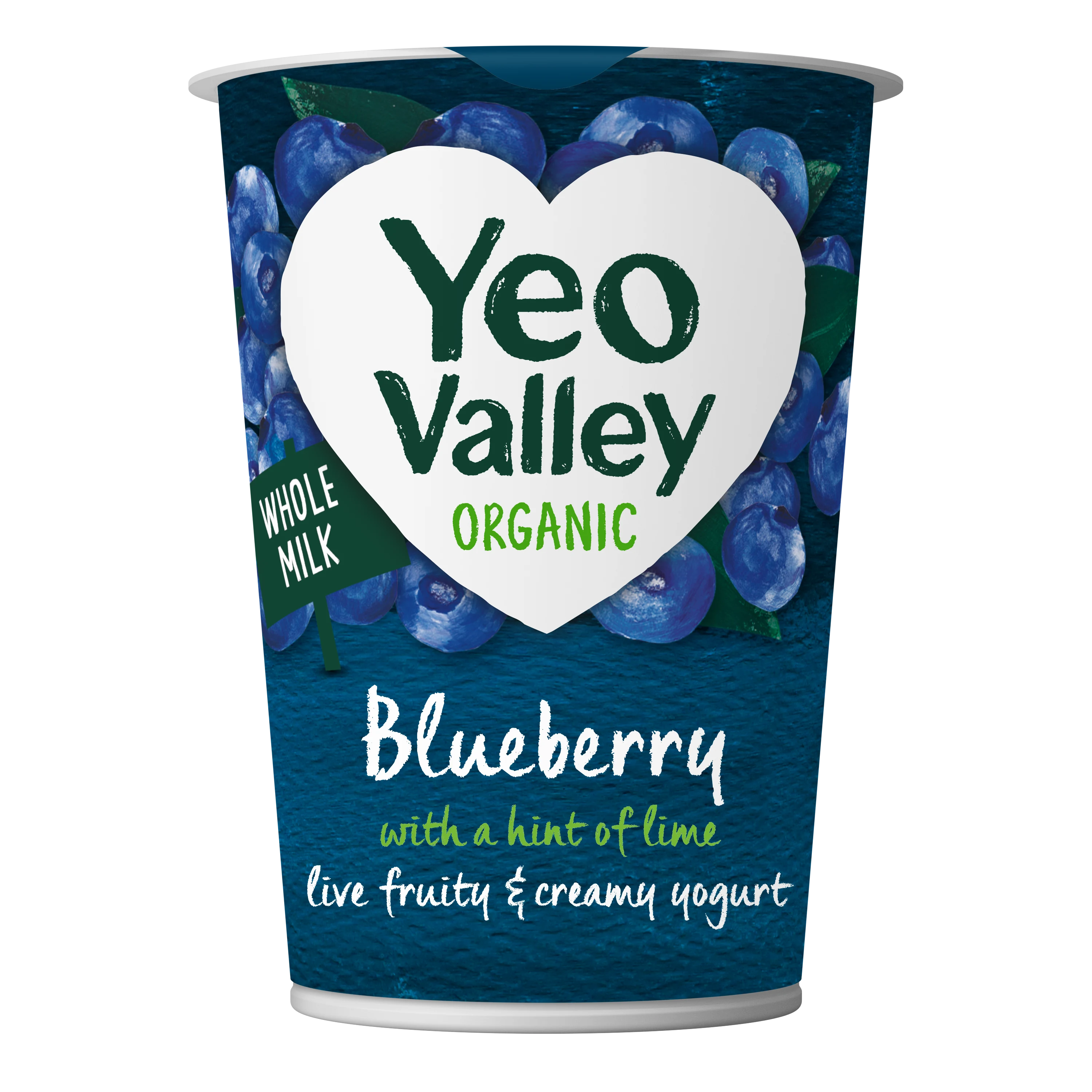 Blueberry with a hint of Lime Yogurt  in 450g size