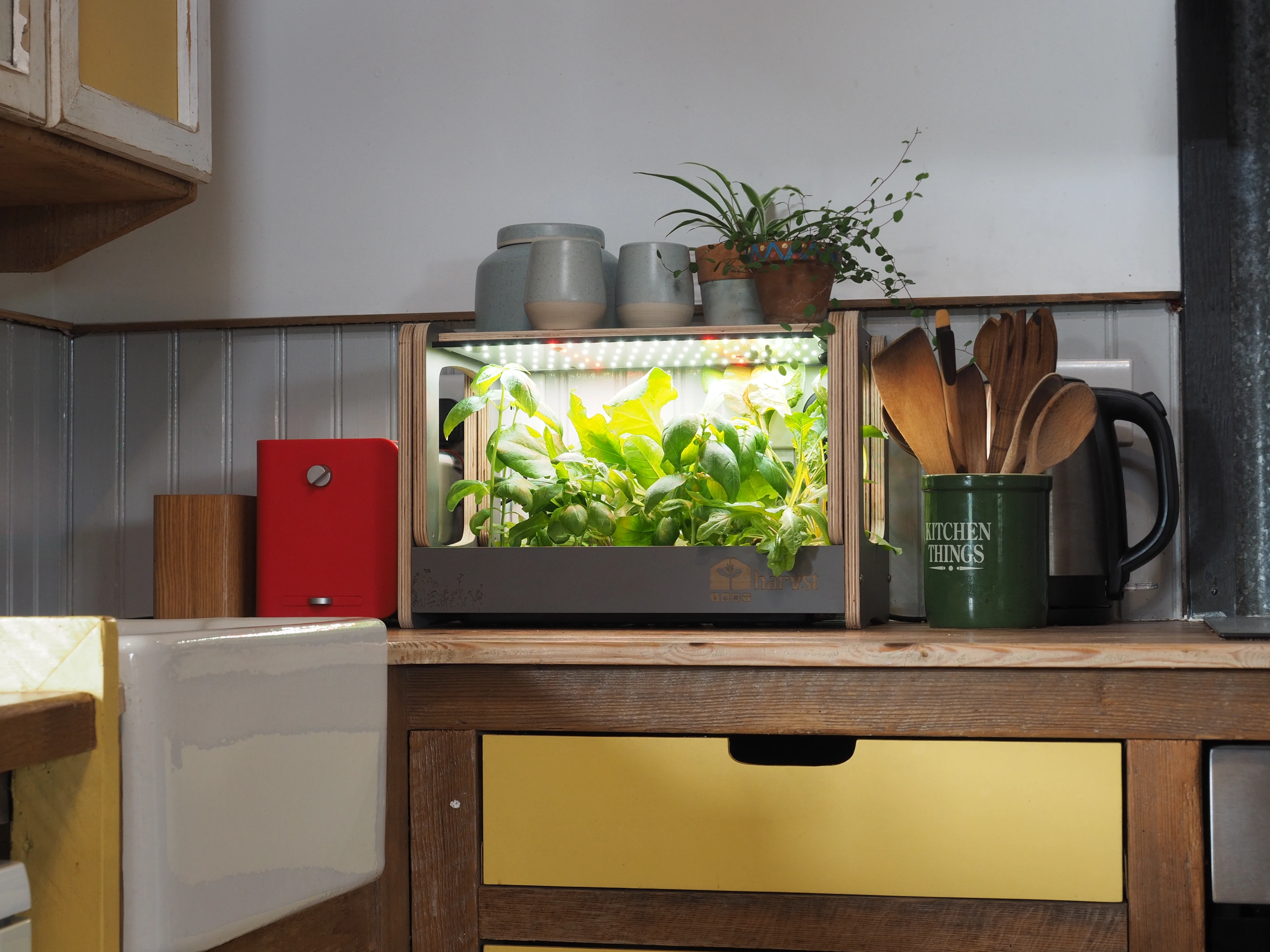 Our Recent Winners - Win One Of Six H-Mini Countertop Indoor Gardens