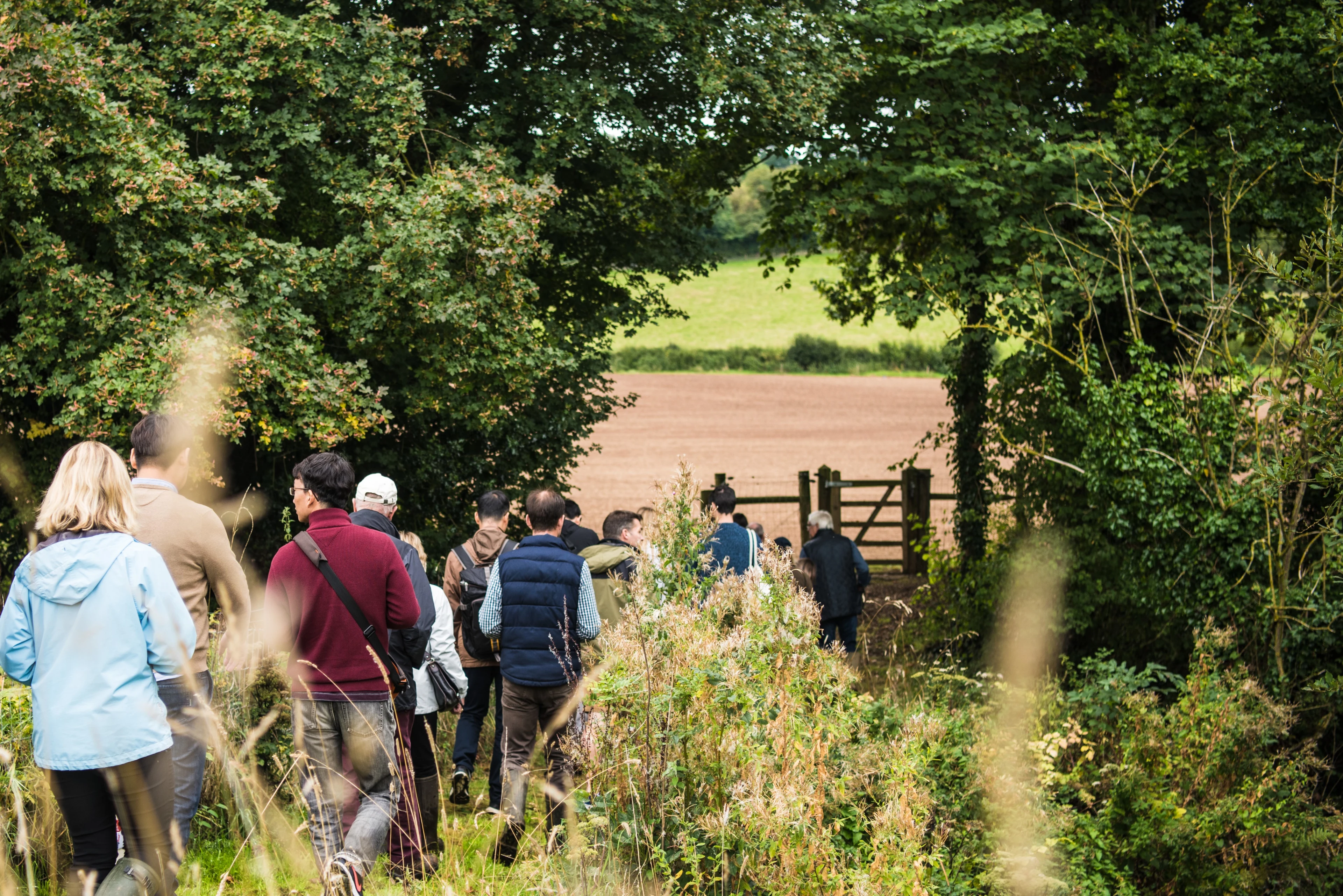 Blog - News - Yeo Valley Farm to Fridge Day