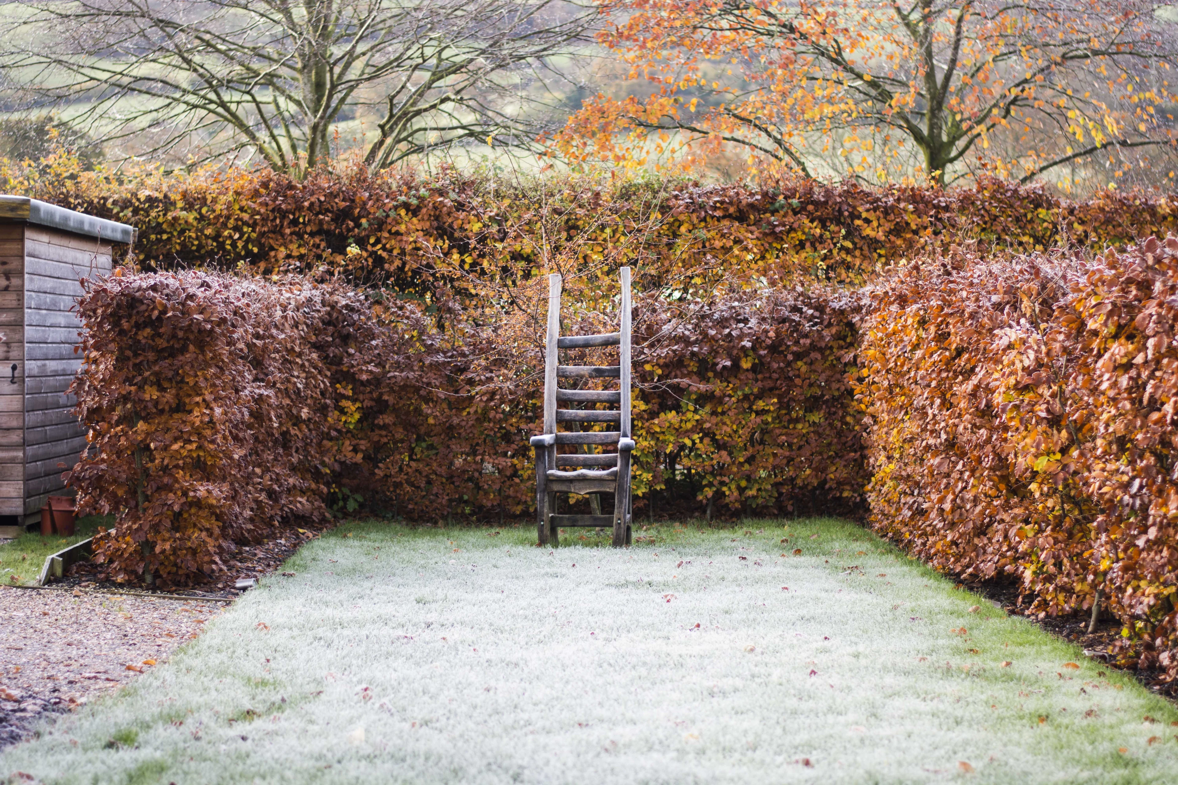 blog-photo-The Organic Garden - Behind Closed Doors winter