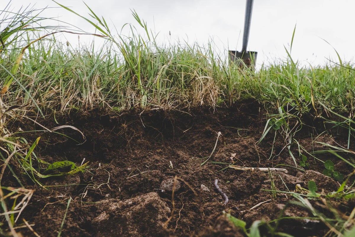 Sustainability - Custodians of the land