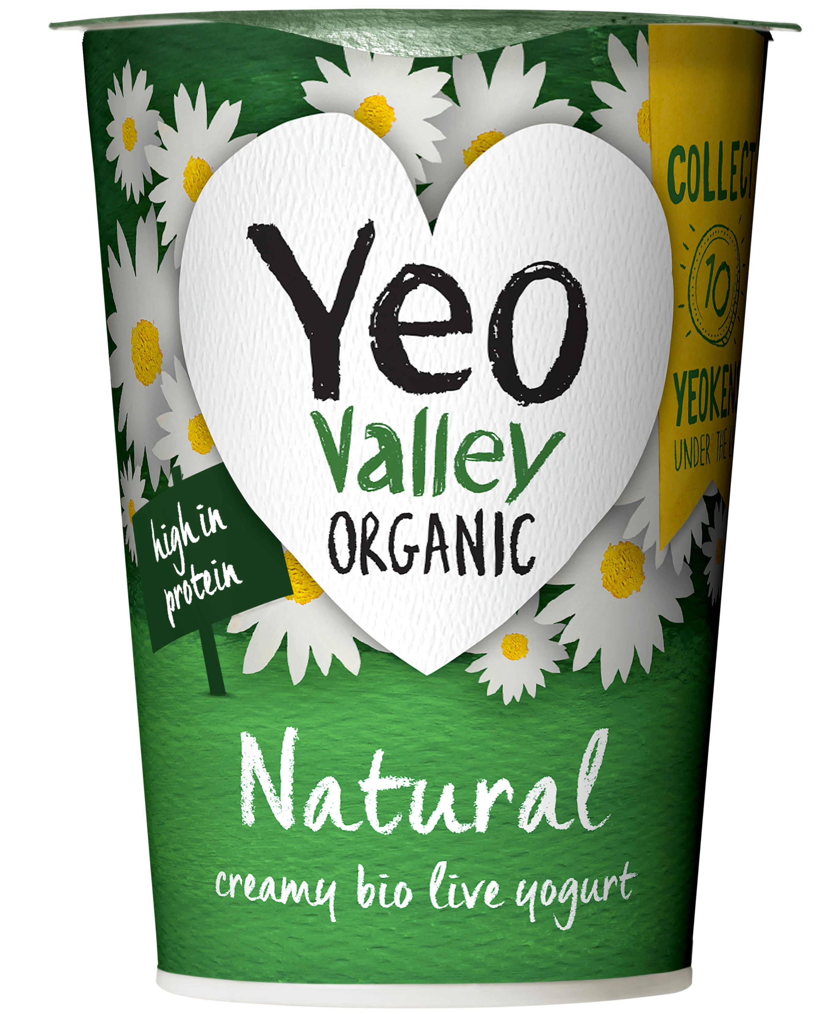 Natural Yogurt in 450g size