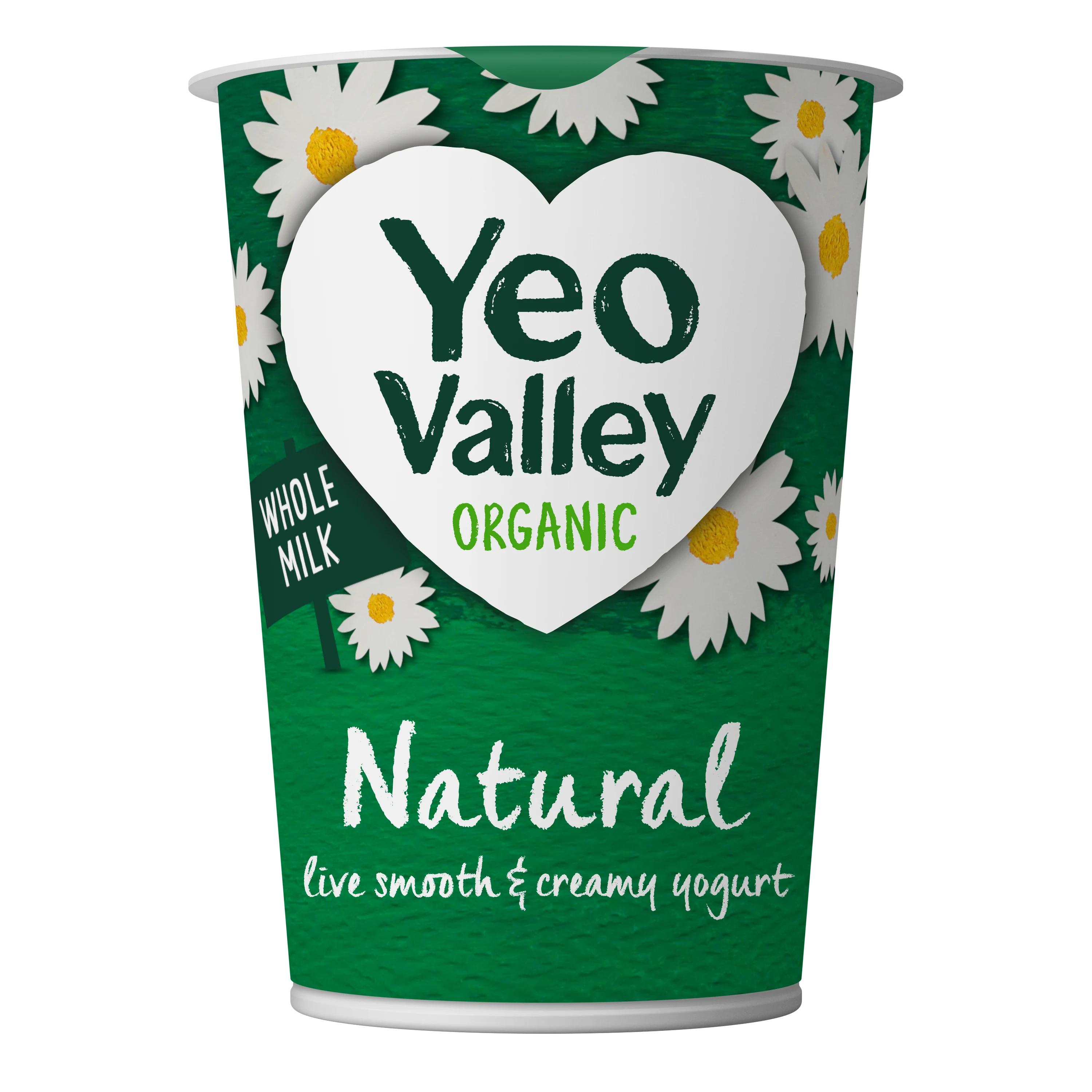 Natural Yogurt in 450g size