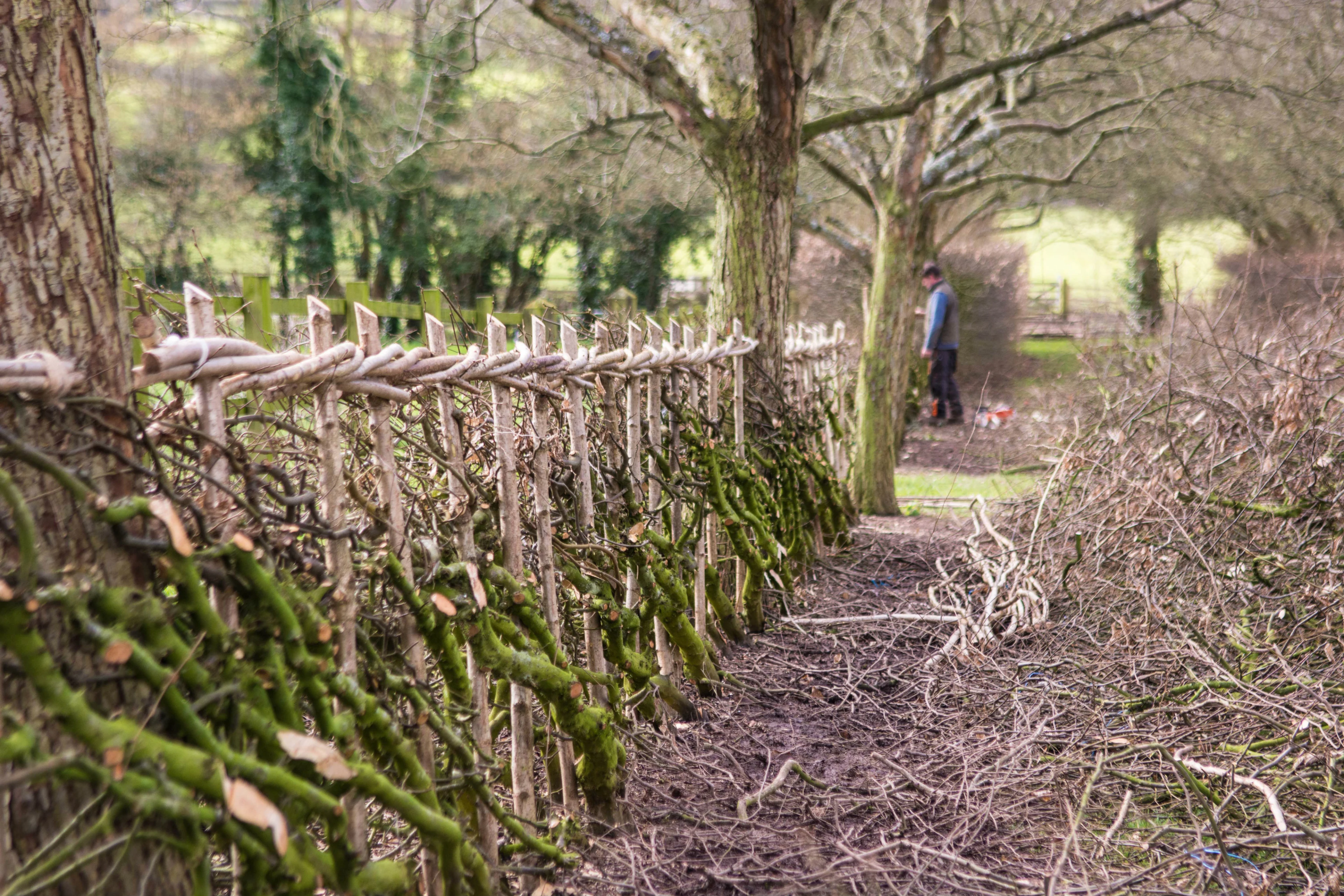 Blog - A day in the life of a Yeo Valley Cow