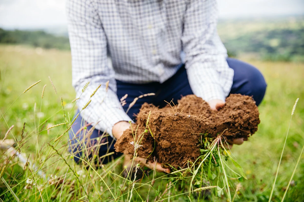 Blog_Nature_Investing in our Planet_Soil Sampling