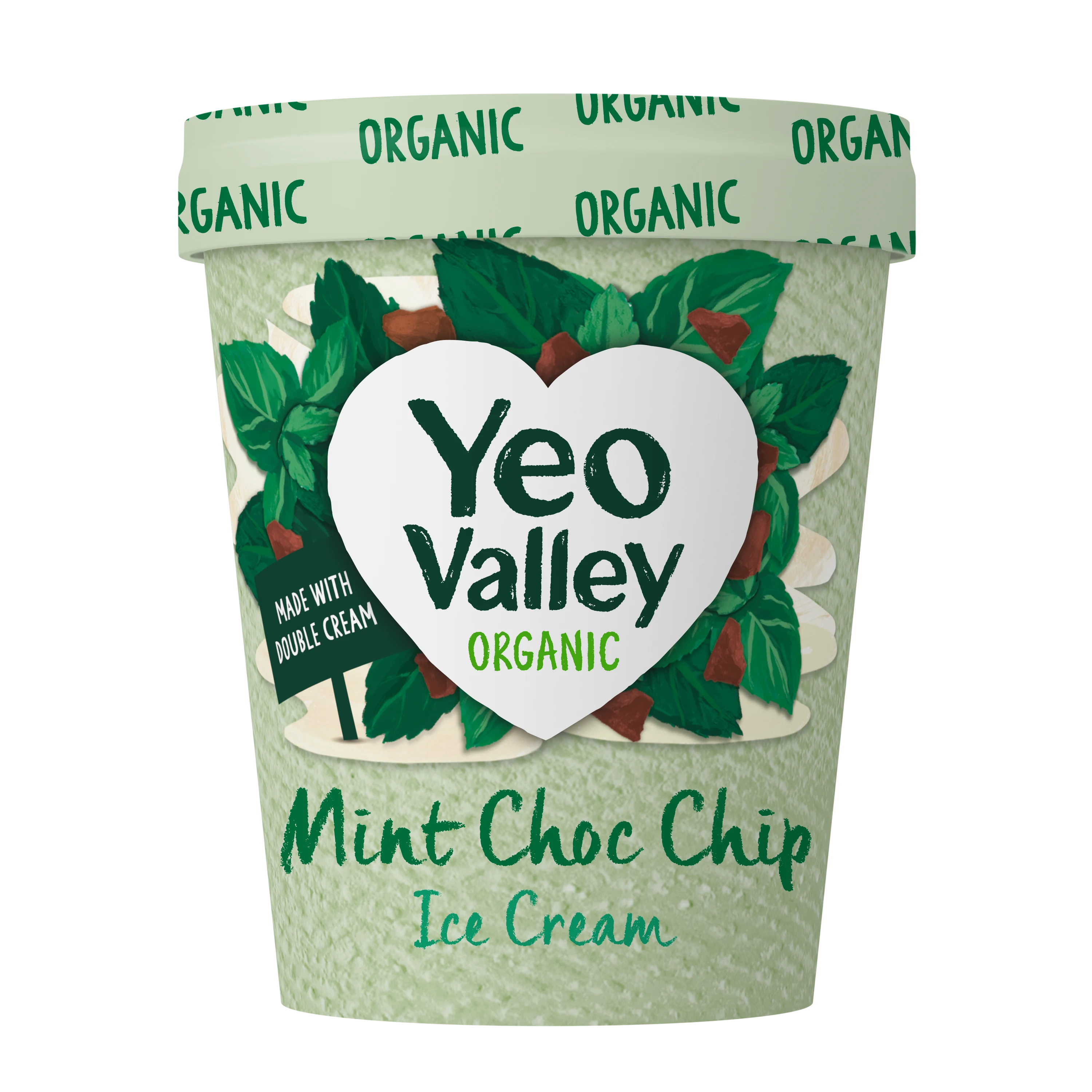 Mint Choc Chip Ice Cream in 500ml size