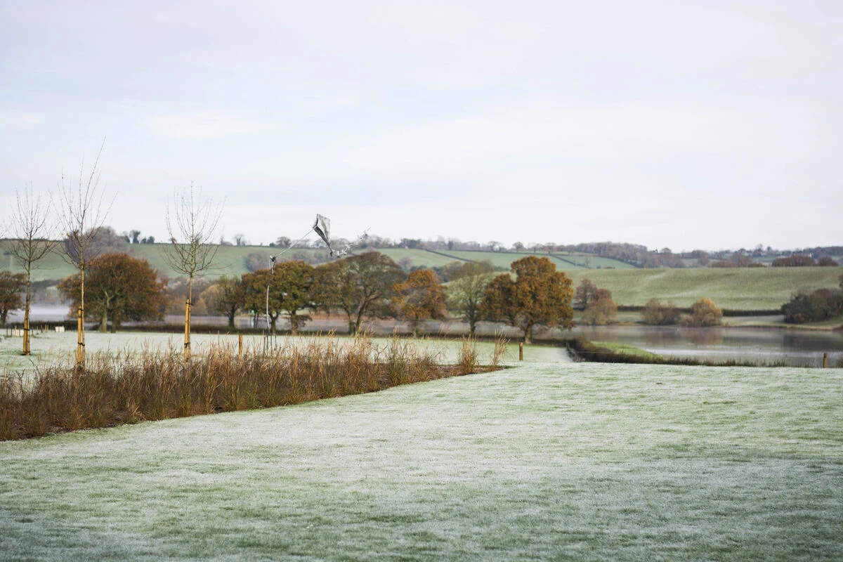 Garden - Winter