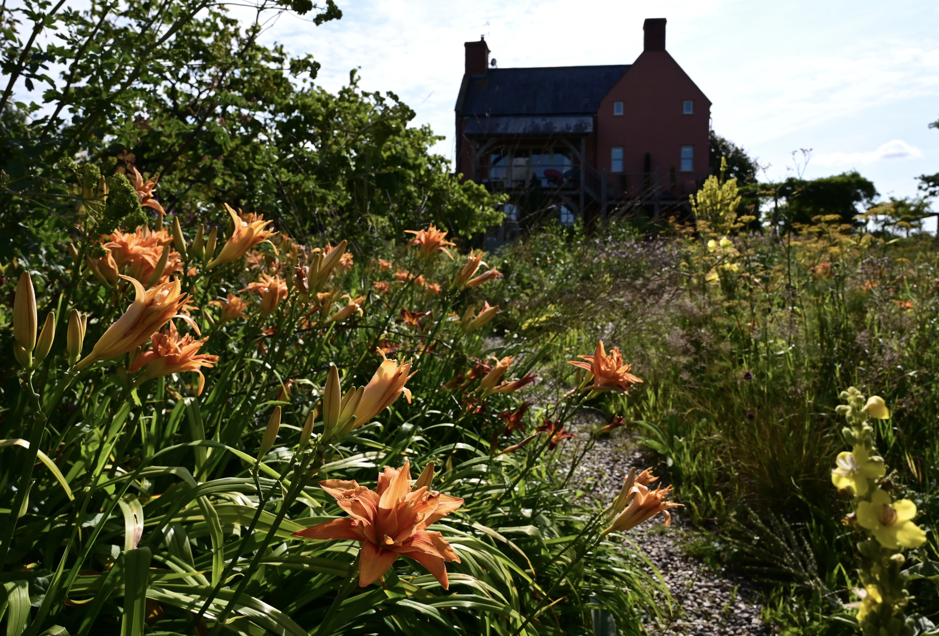 The Organic Garden - The Gravel Garden