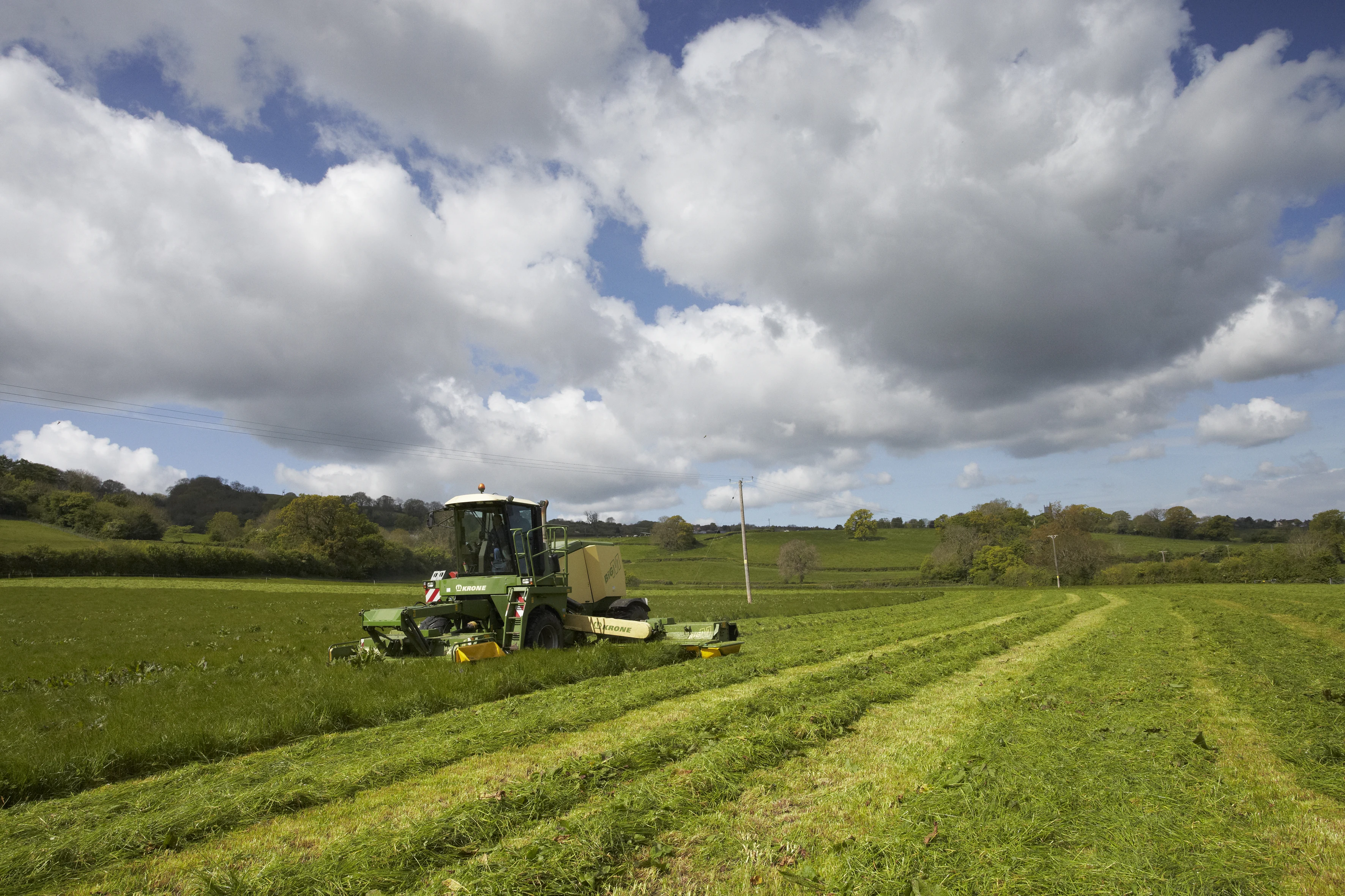 Blog - Into The Valley - Hip, Hip, Hooray! It's Somerset Day