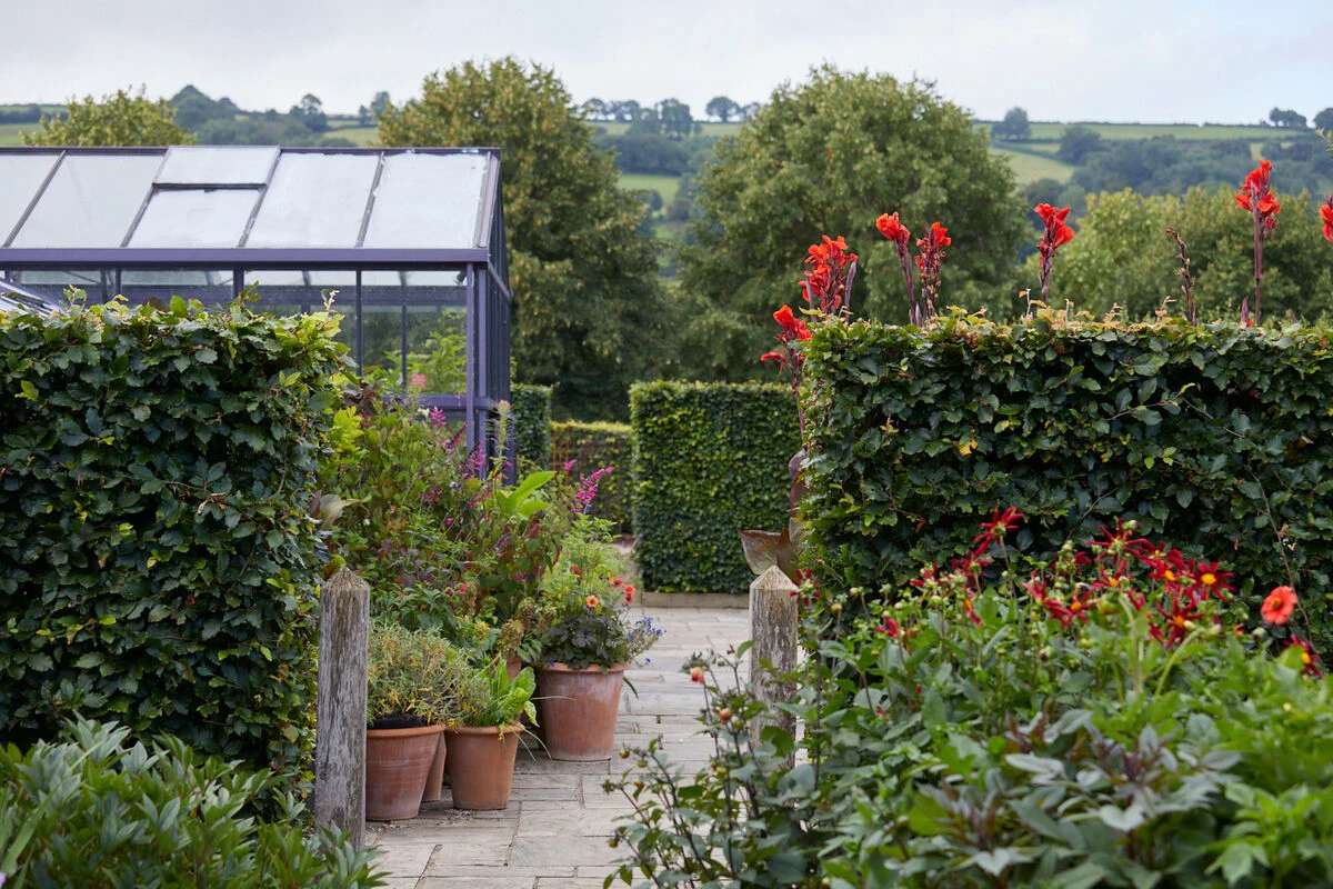 Blog - A Guide to Growing Your Own Luffa - tips and tricks - gardens green house