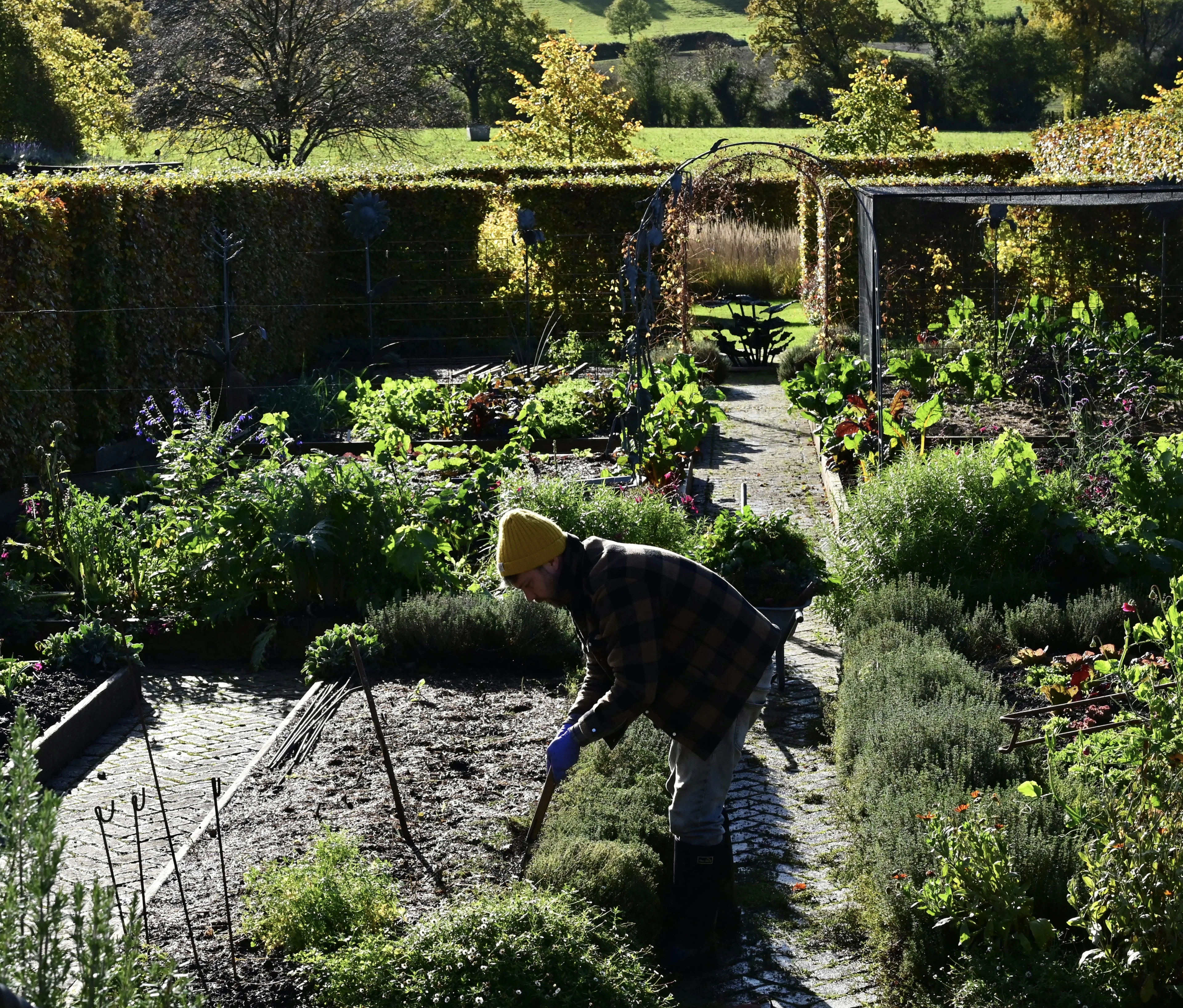 blog-photo-How are we being kind to the Yeo Valley Organic Garden?-gardening-flower bed-digging