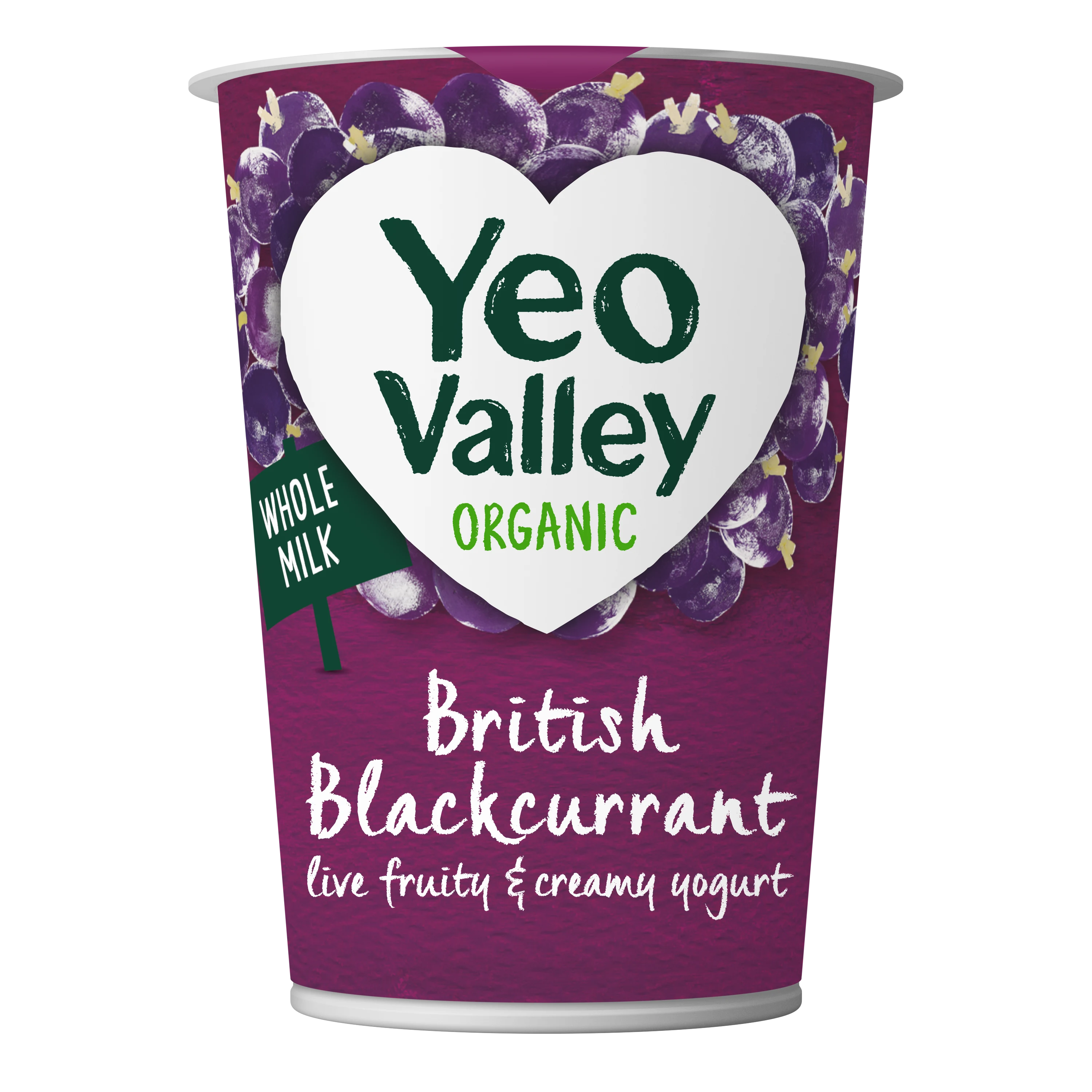 British Blackcurrant Yogurt in 450g size