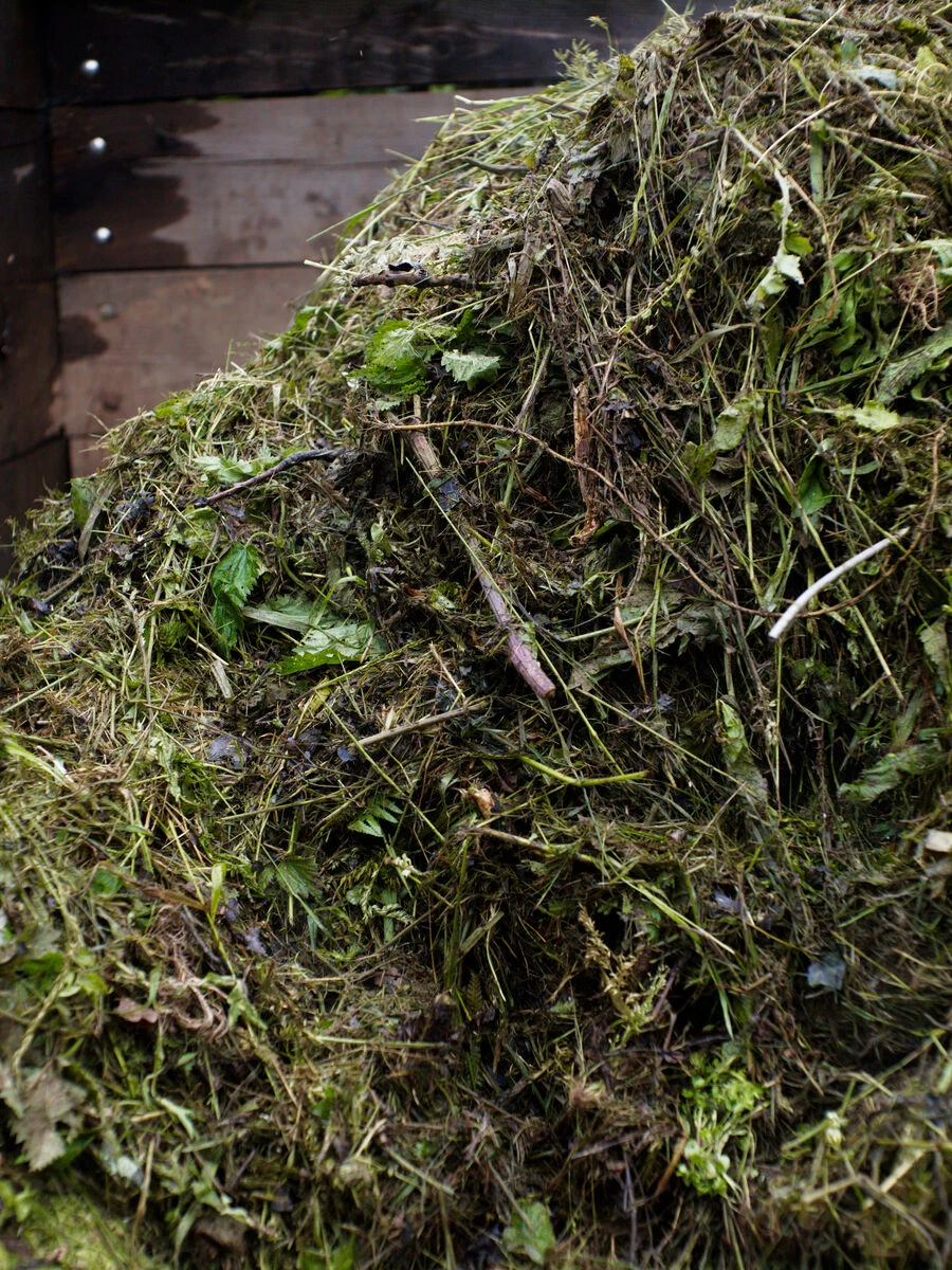 Blog_Tips And Tricks_Compost Heap