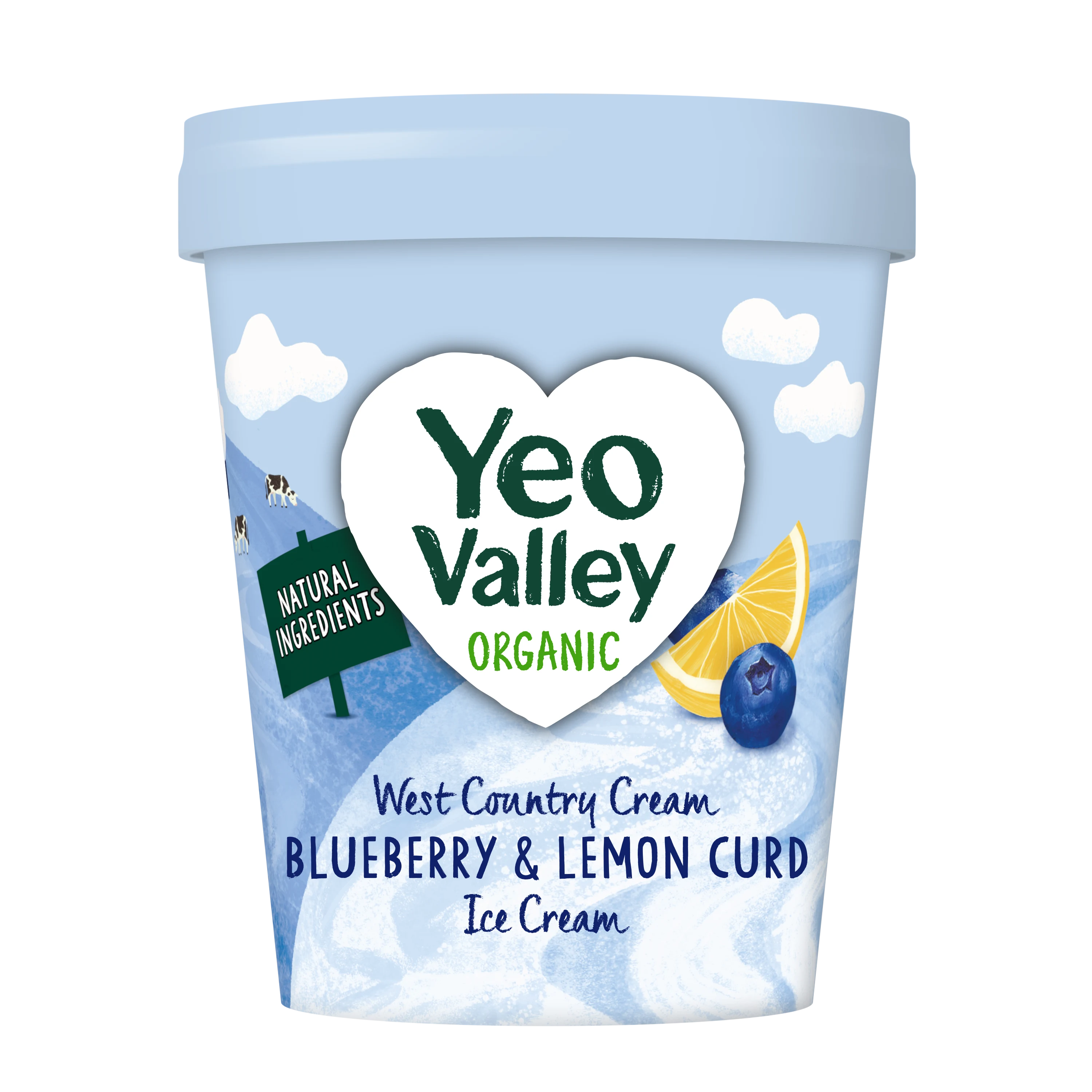Blueberry & Lemon Curd Ice Cream in 480ml size