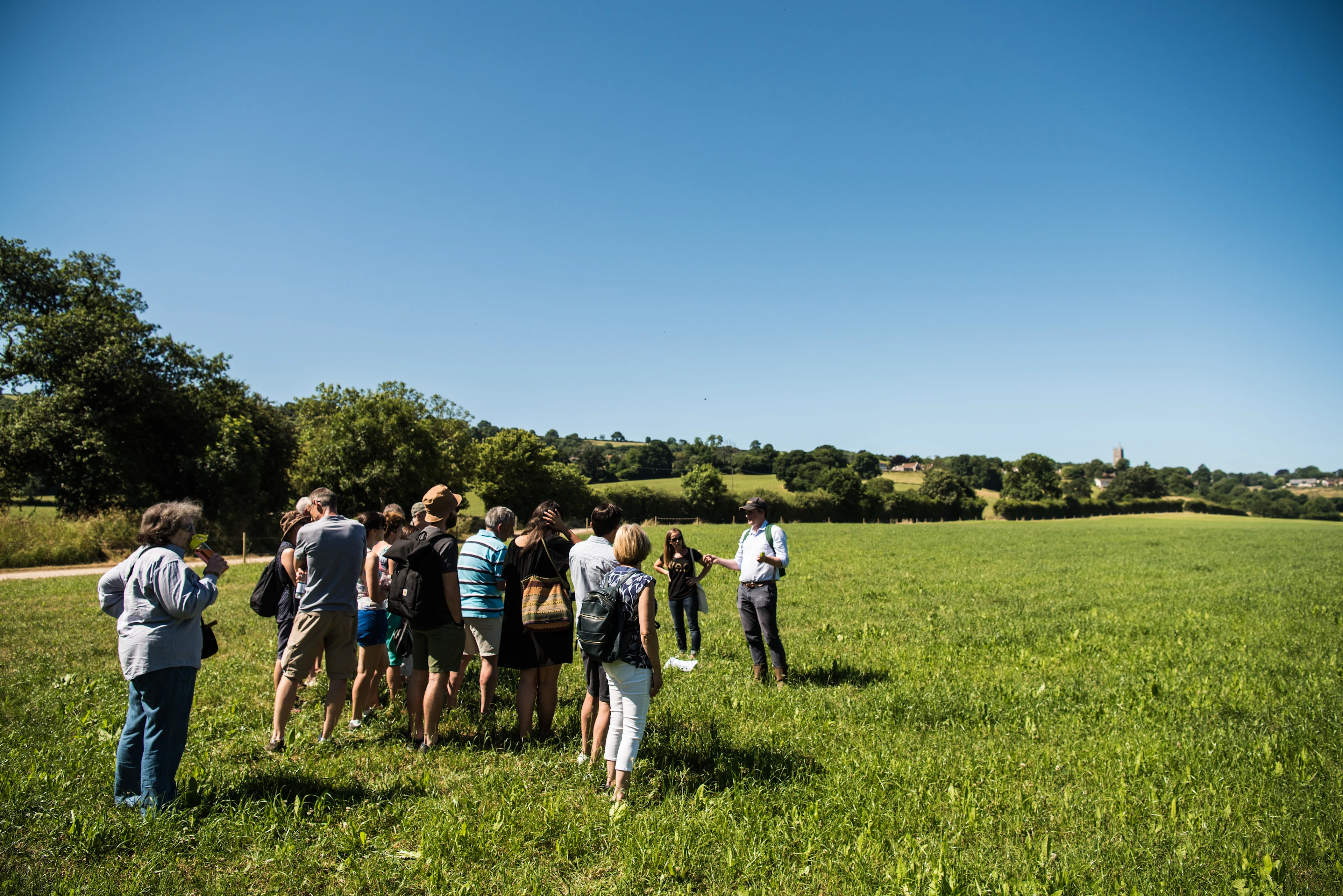 Yeo Valley Farm to Fridge