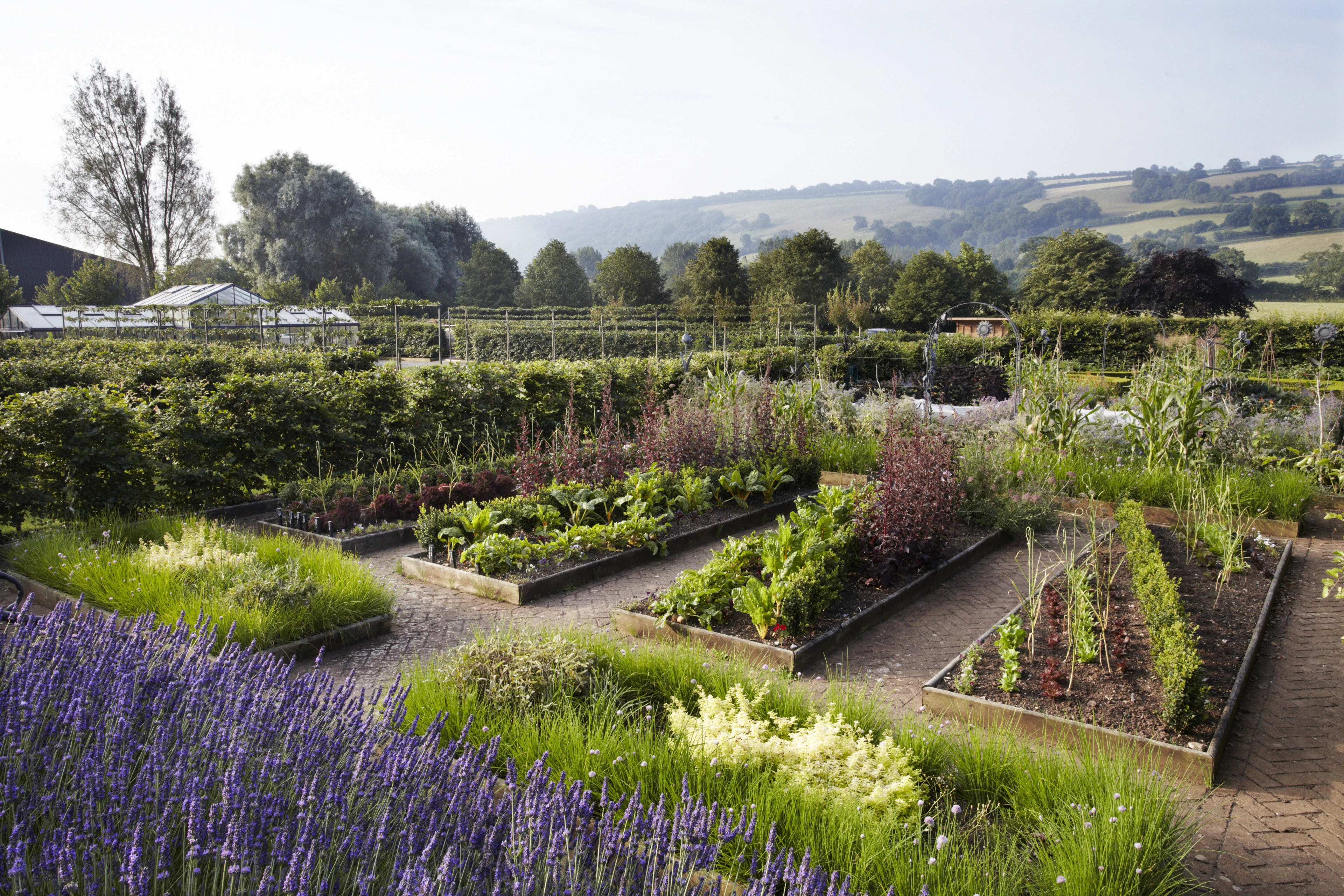 blog-photo-Spring time in the Yeo Valley Organic Garden-veg garden patch