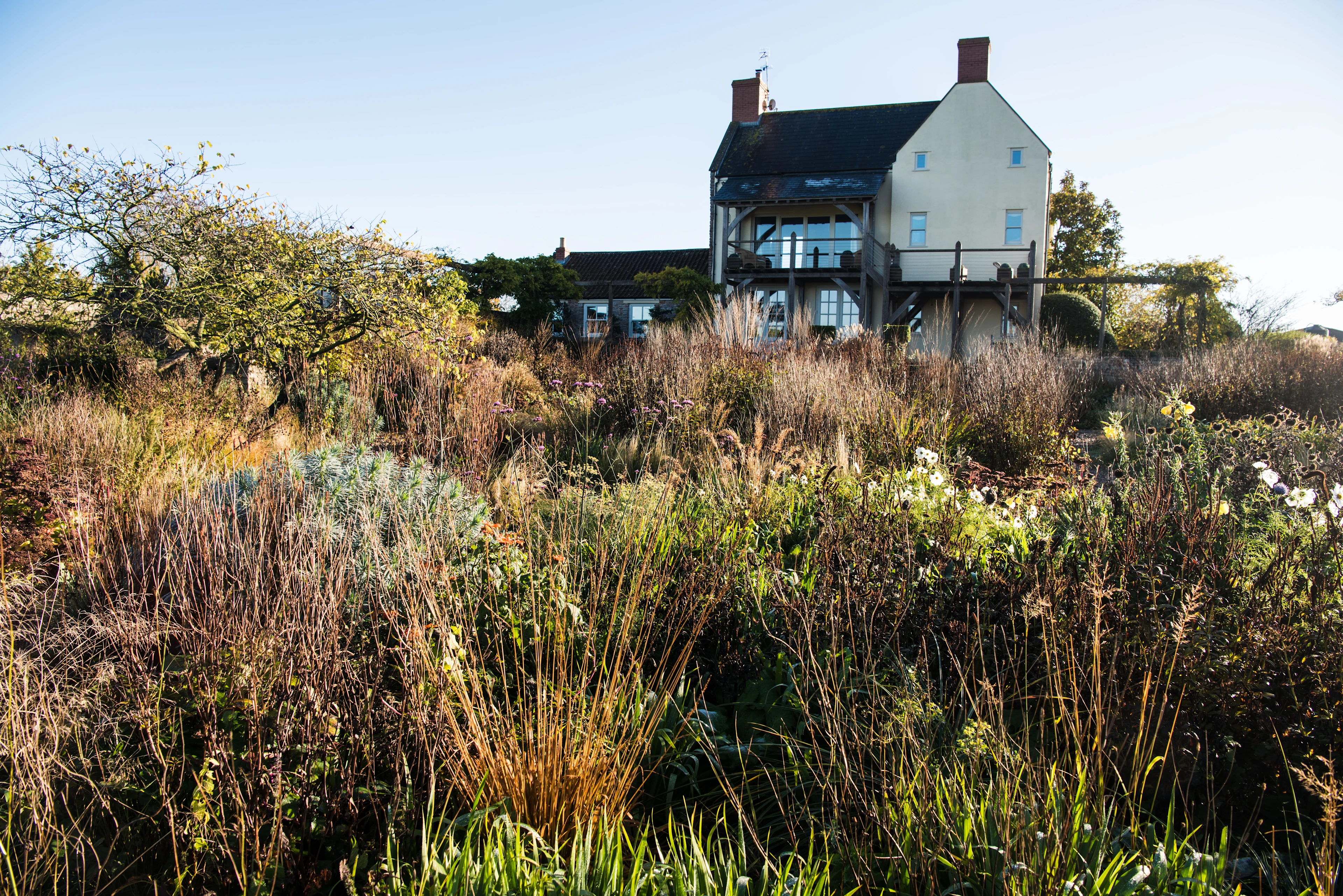 Garden - Autumn