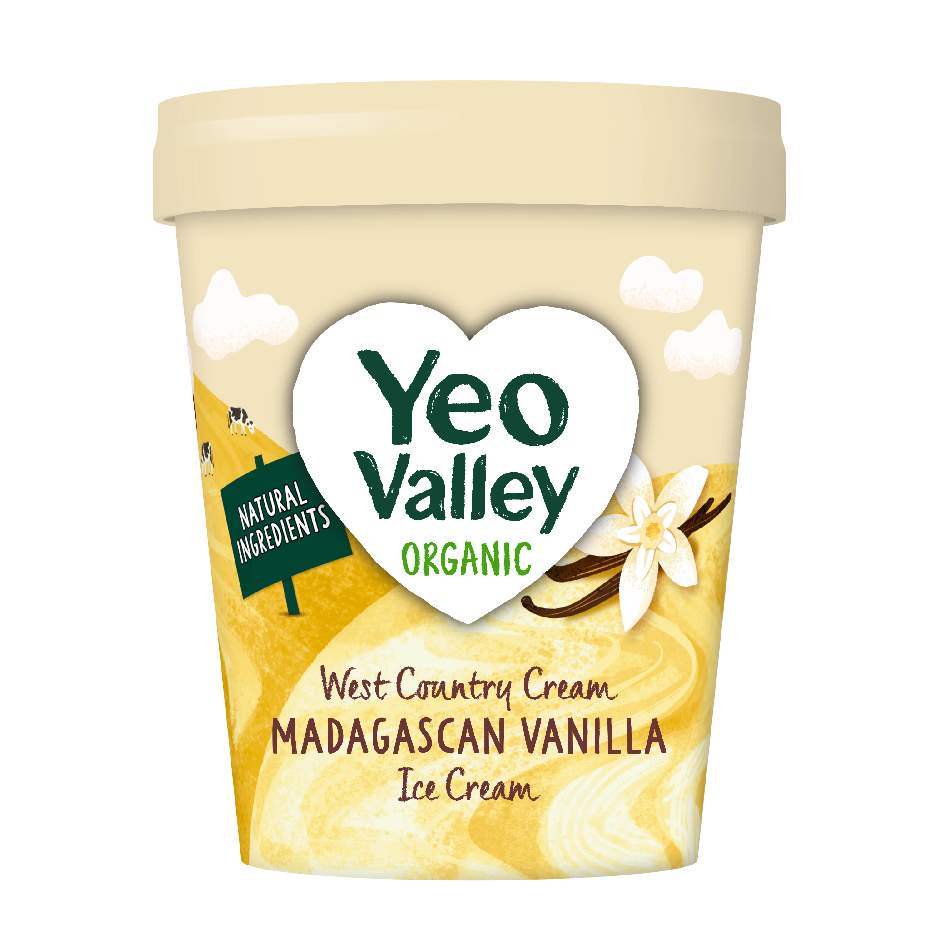 Madagascan Vanilla Ice Cream  in 480ml size
