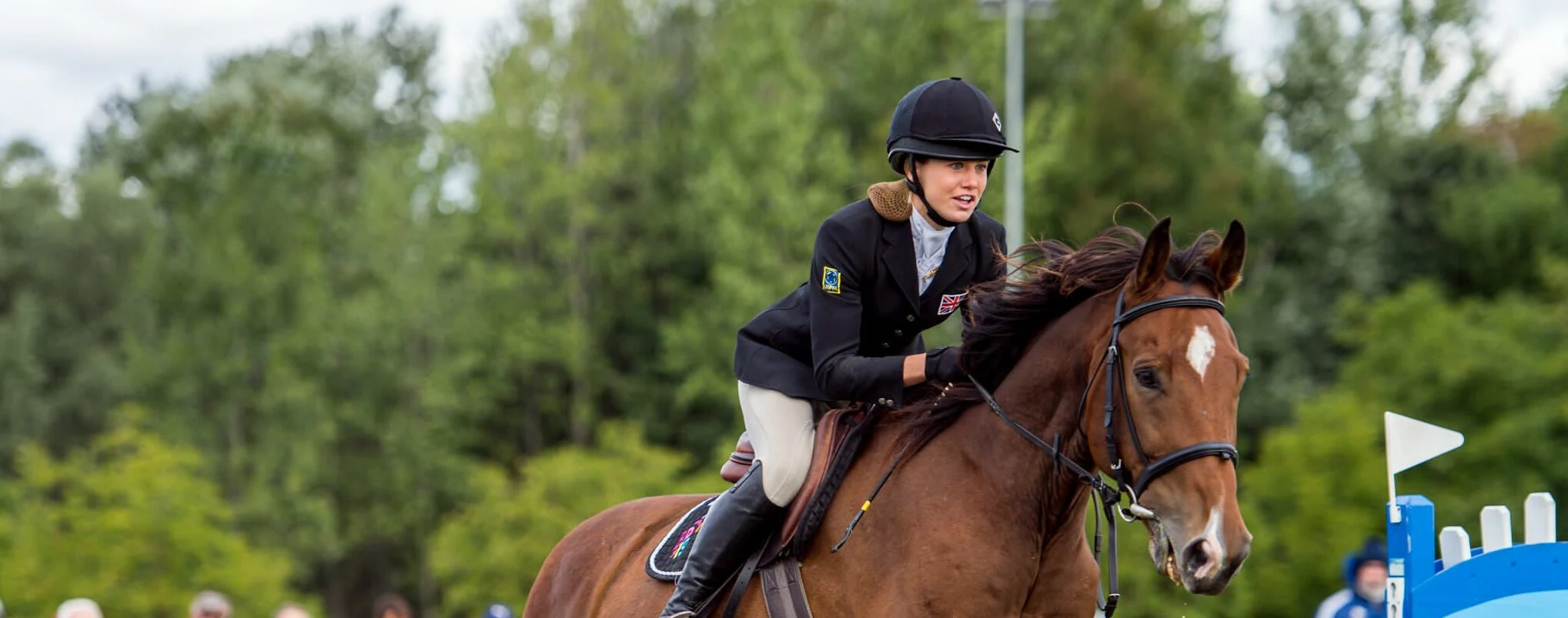 Blog - 5 REASONS WHY WITH CHARLIE FOLLETT - ins and outs - Charlie Follett Show jumping horse