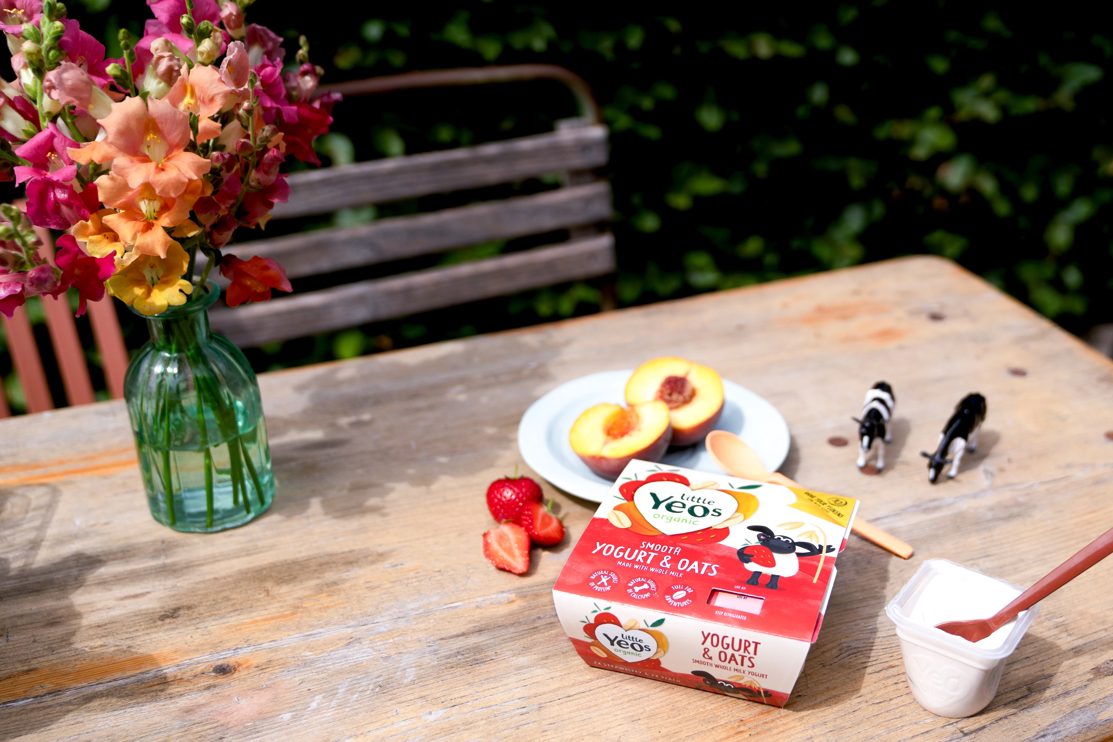 Little Yeos Big Questions