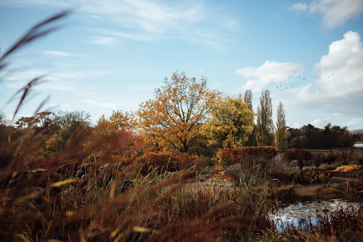 Autumn in the garden