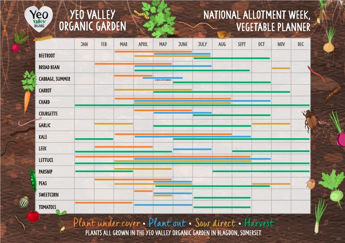 Blog - STARTING YOUR VEG PATCH - YV ALLOTMENT-planner- news - ins and outs - tips and tricks