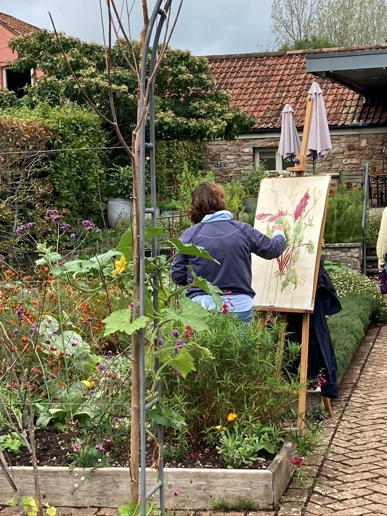 Drawn from the Garden