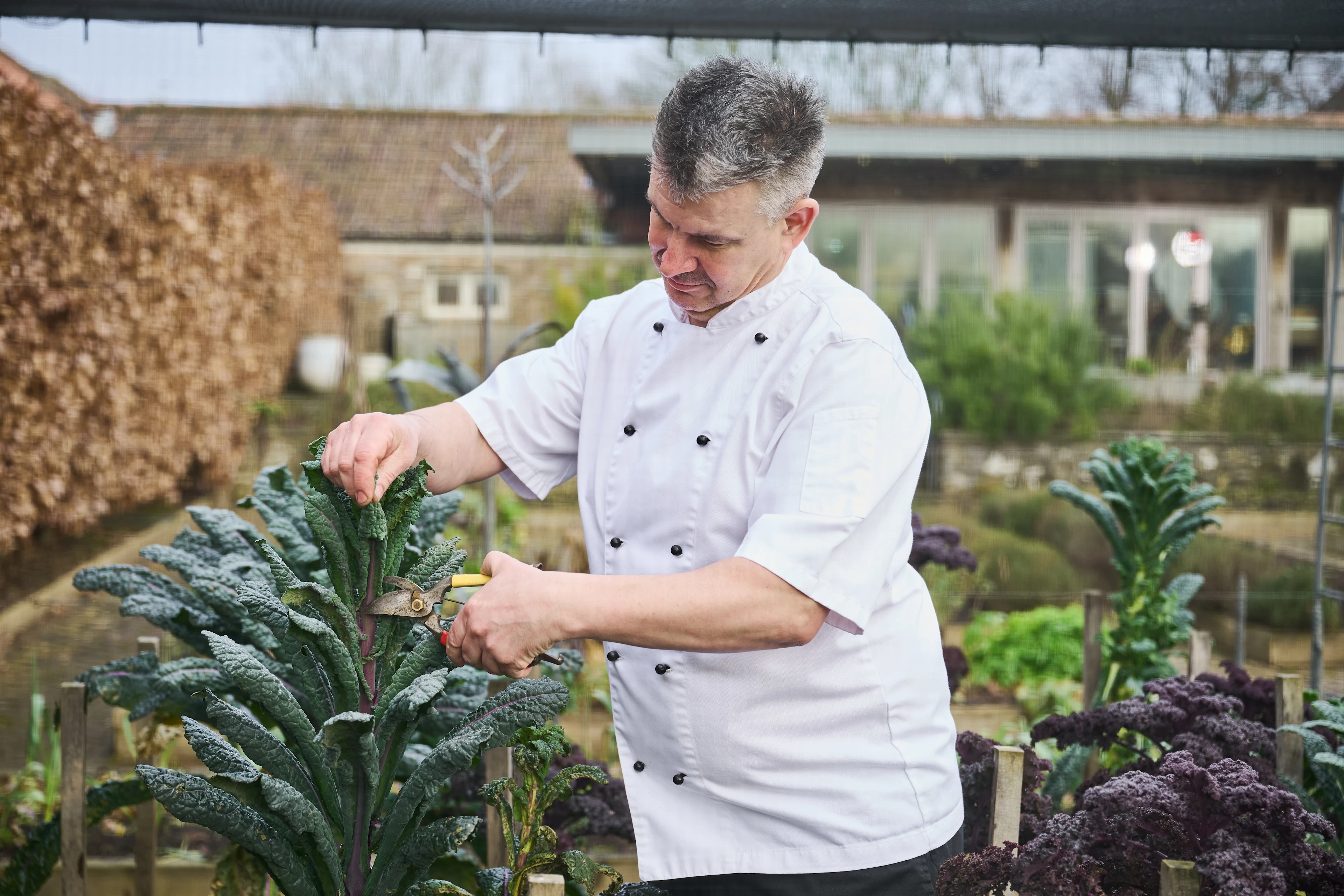 Yeo Valley Farm to Fridge