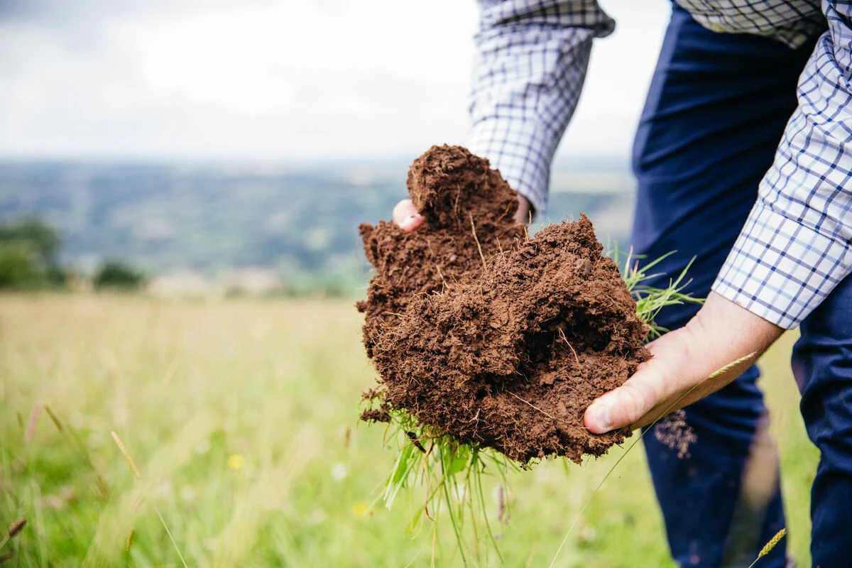 Blog - Soil, it's a wonderful thing - soil in hands