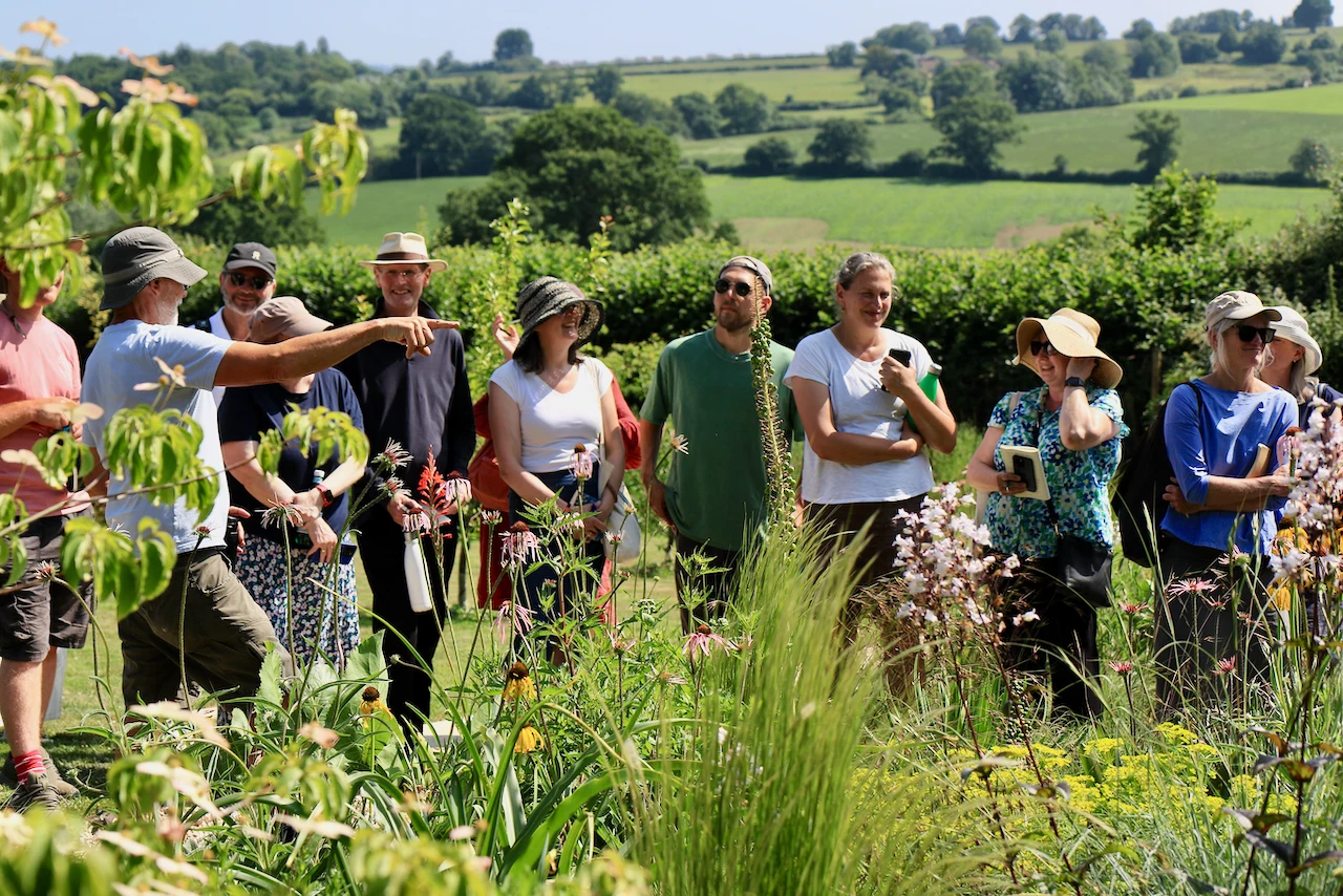 James Hitchmough garden1