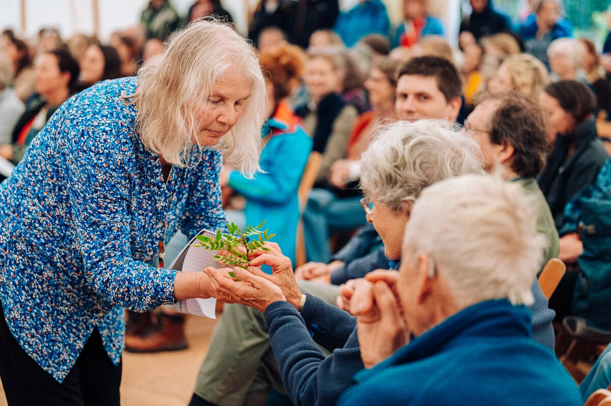 Festival Audience 