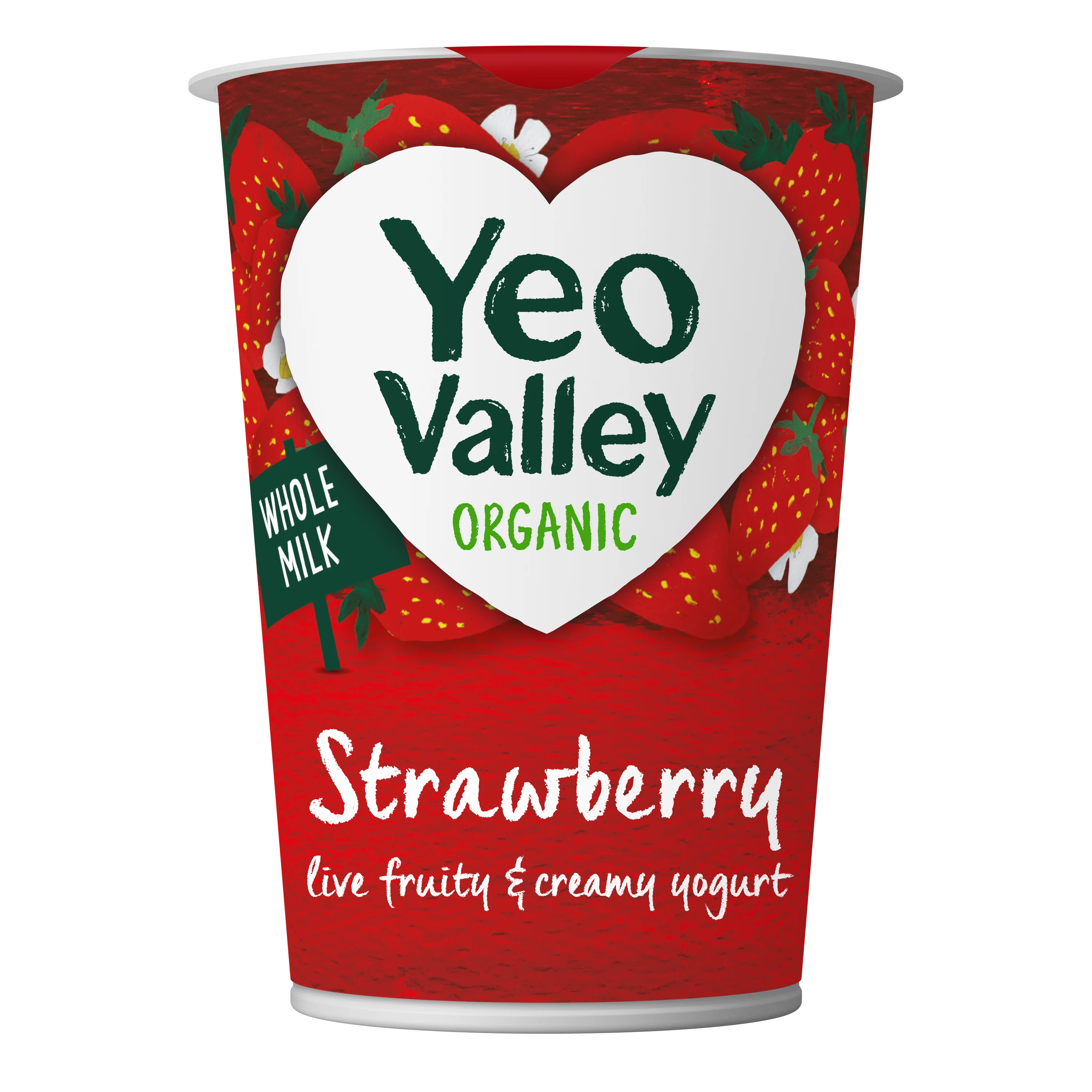 Strawberry Yogurt in 450g size