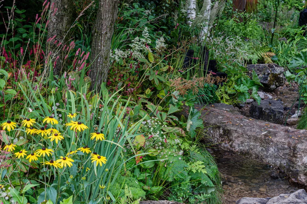 Press - RHS Chelsea Flower Show 2021