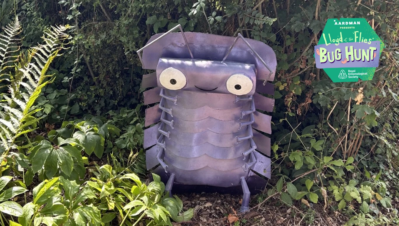 Lloyd of the Flies Bug Hunt