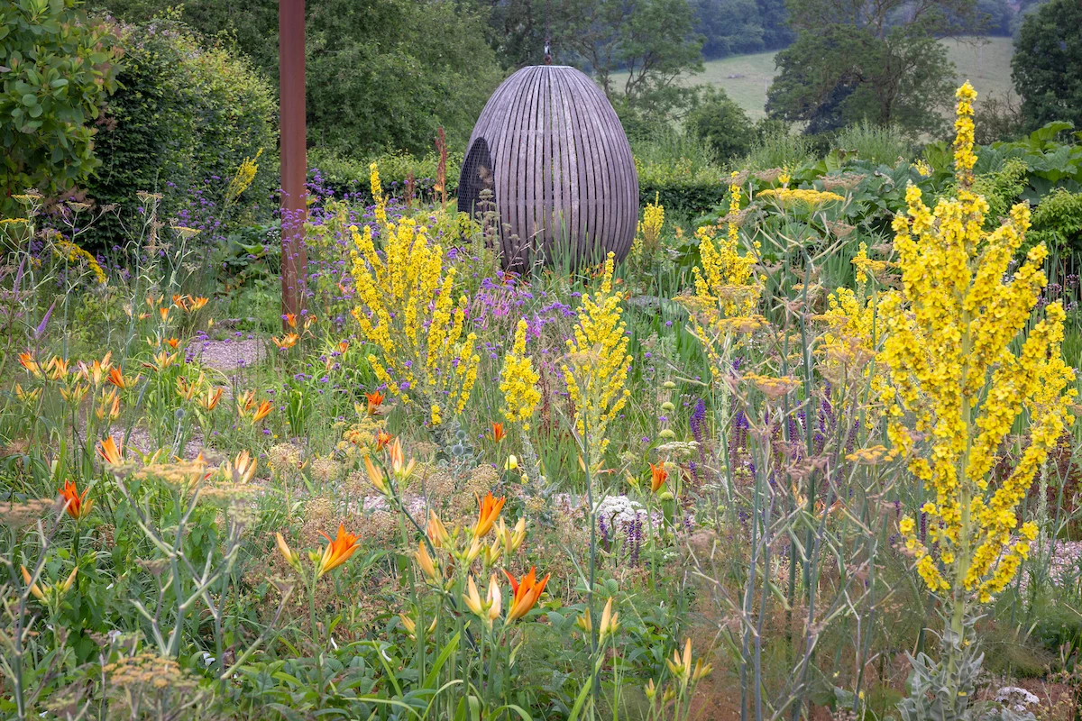 Garden in Summer