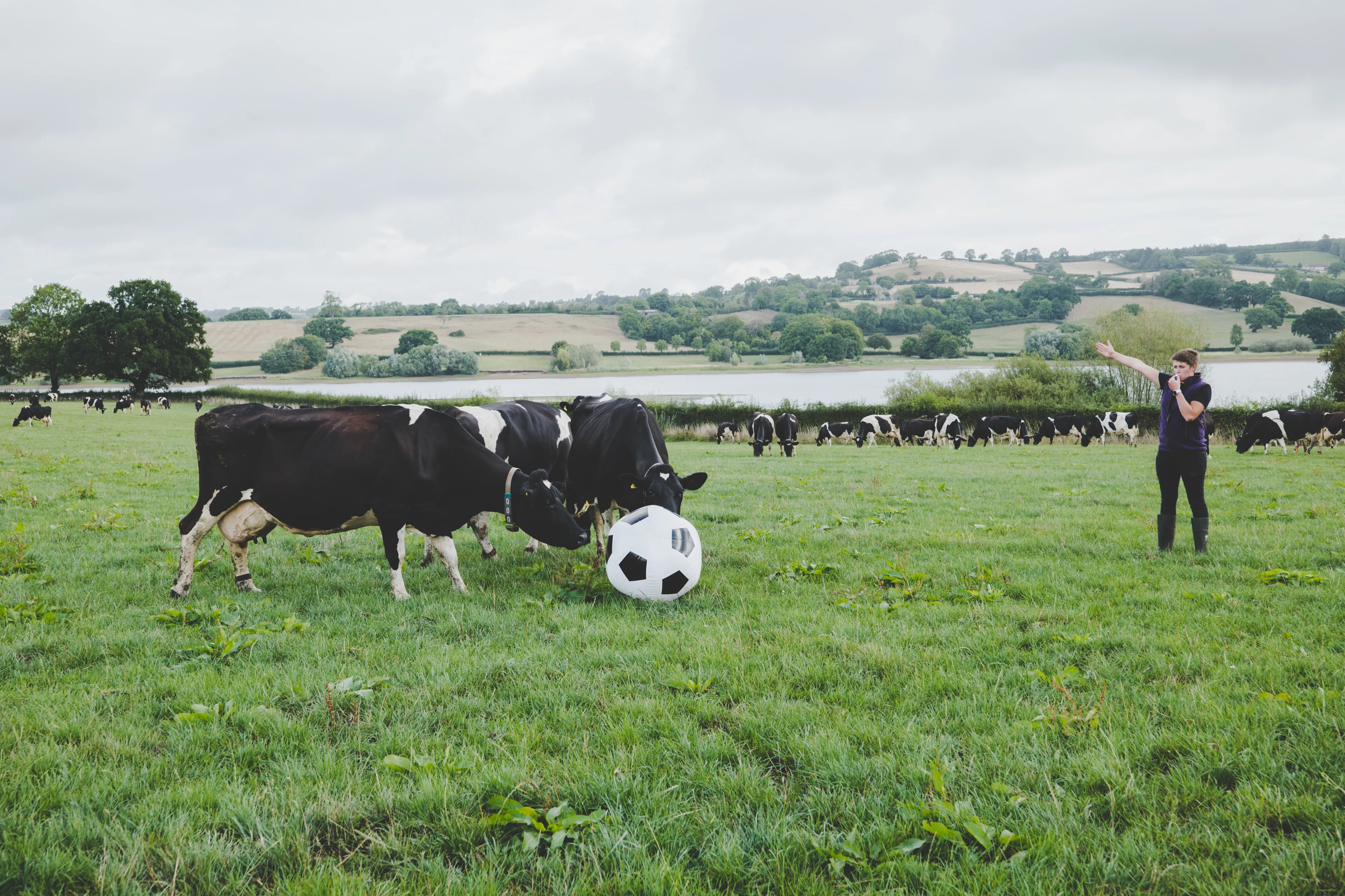 blog-photo-Only goals for our girls!-gabby referee cows football